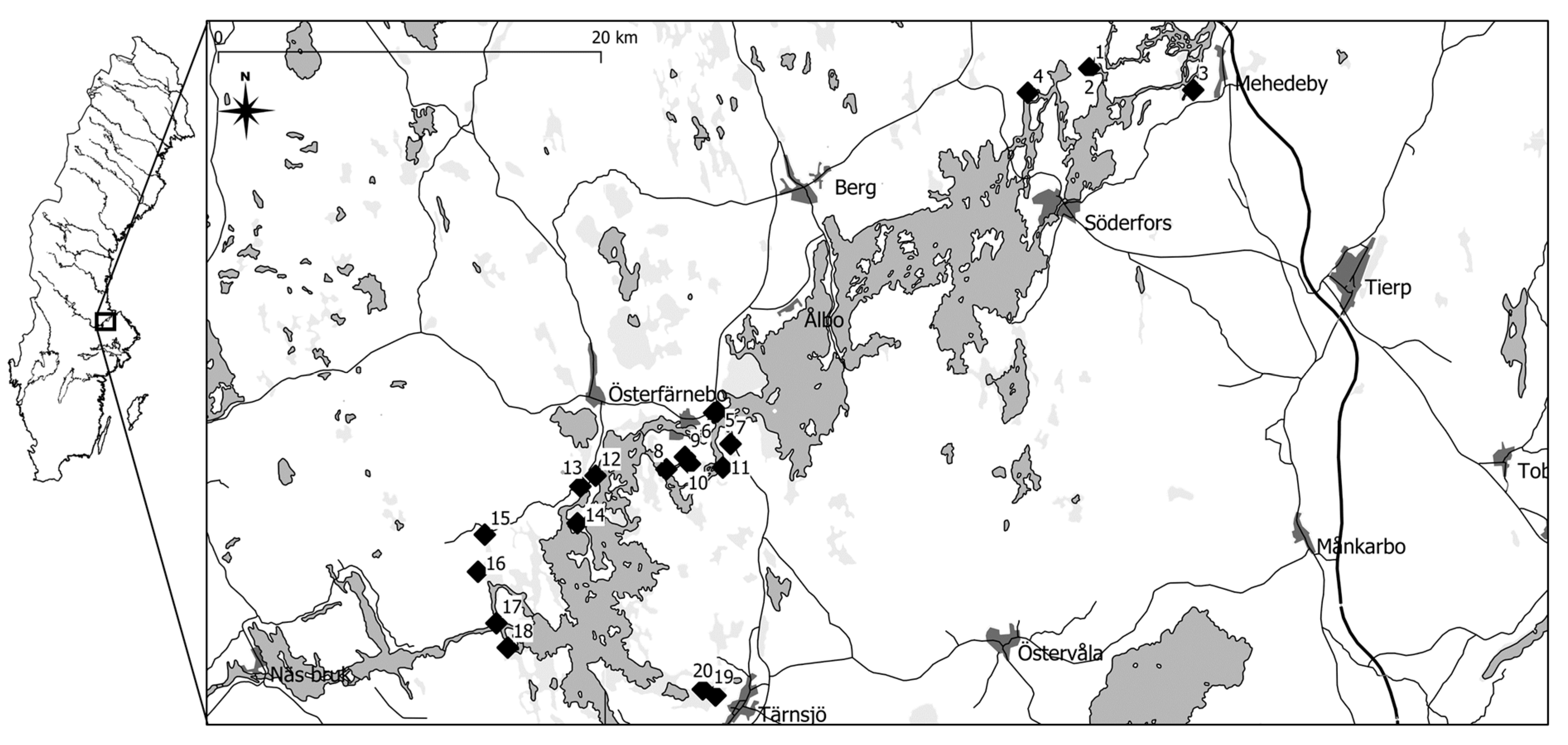 Insects 12 00279 g001