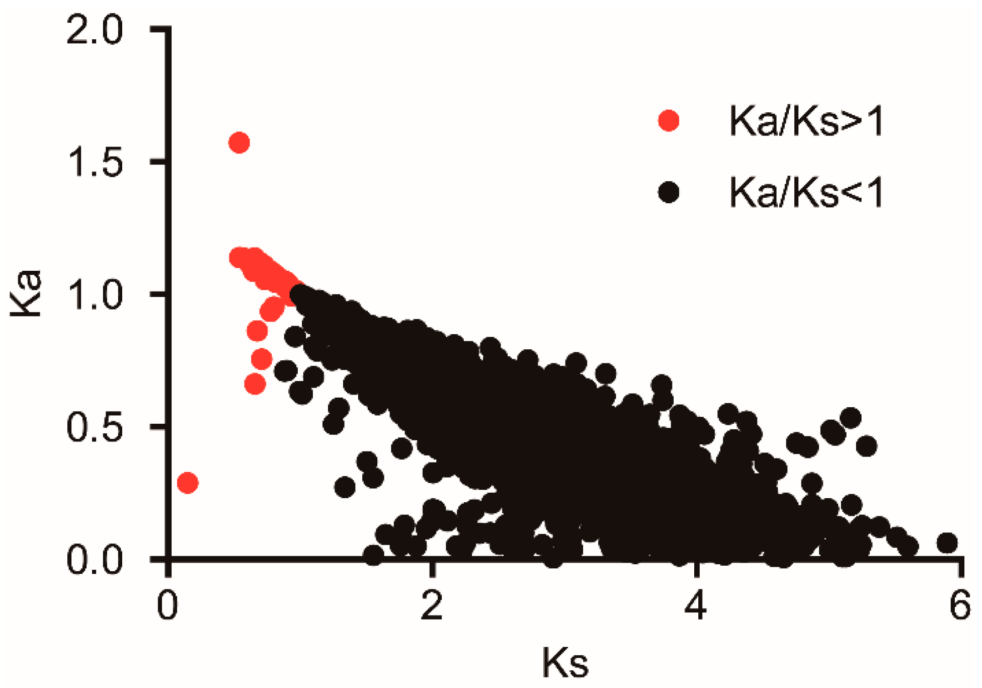 Insects 12 00281 g004