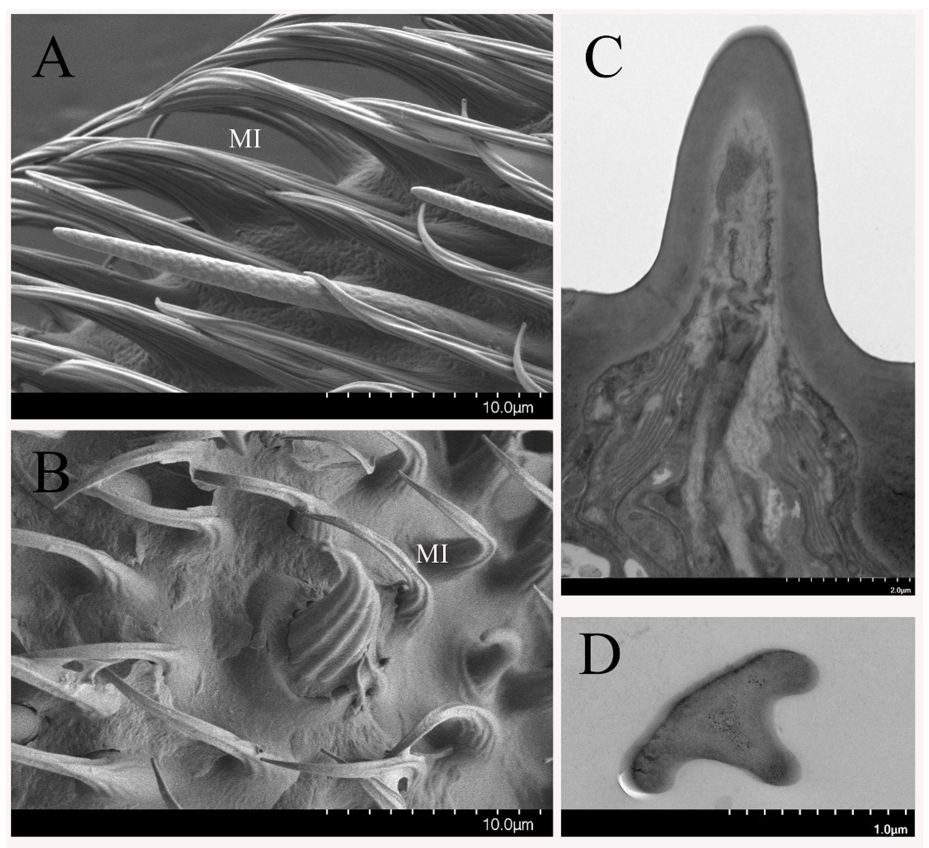 Insects 12 00289 g007 Insects 12 00289 g007