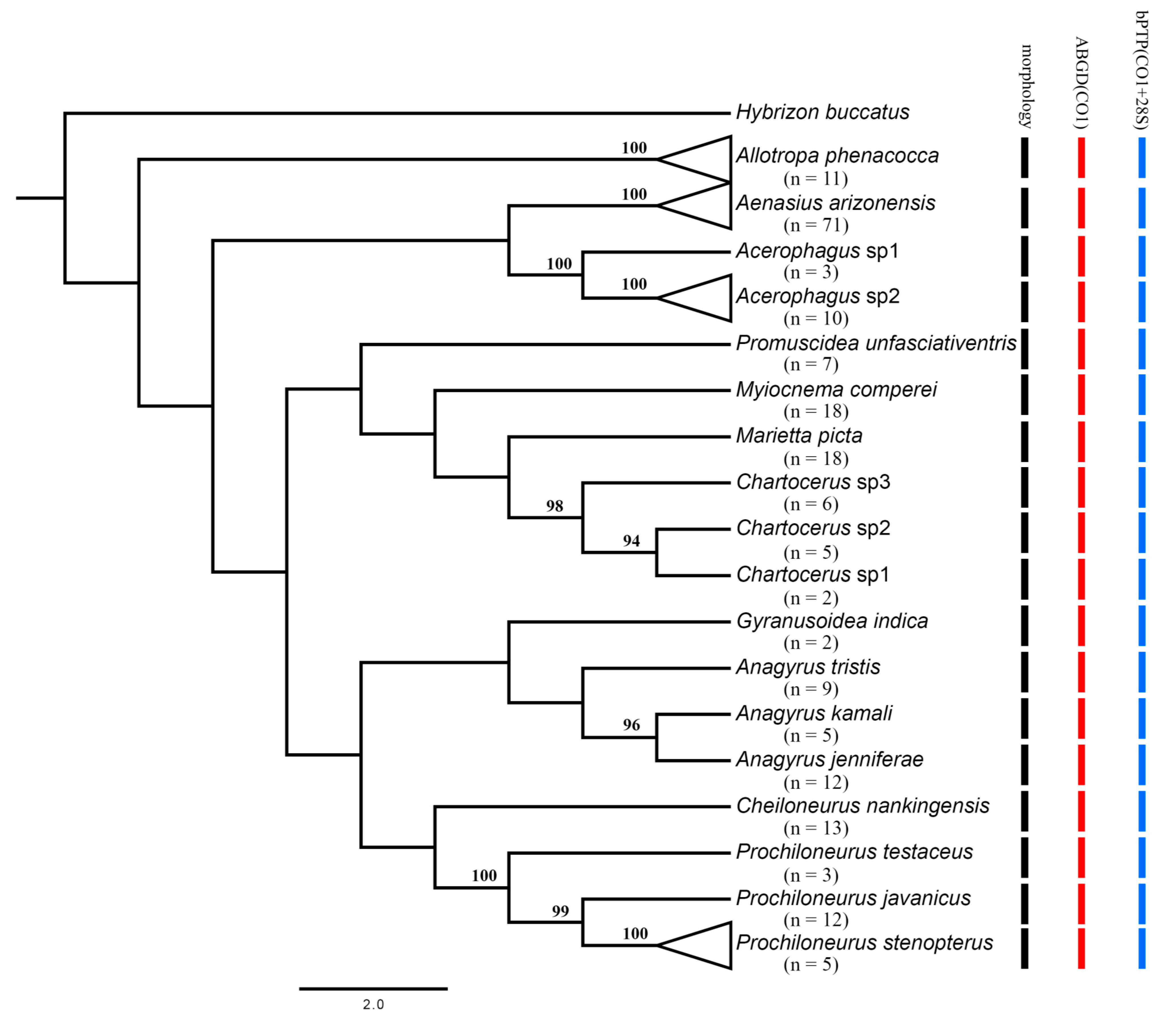 Insects 12 00290 g002 Insects 12 00290 g002