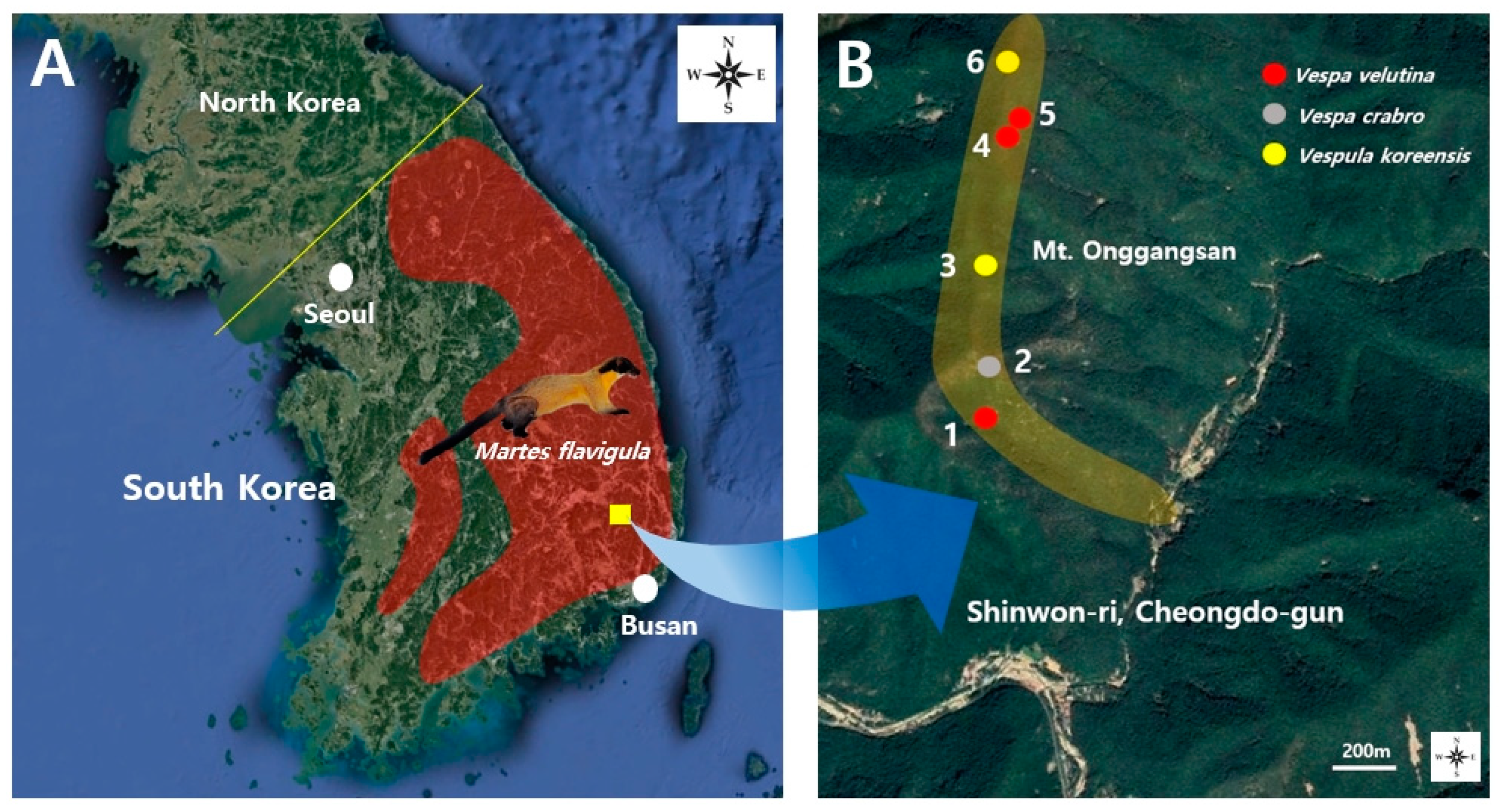 Insects 12 00296 g001 Insects 12 00296 g001