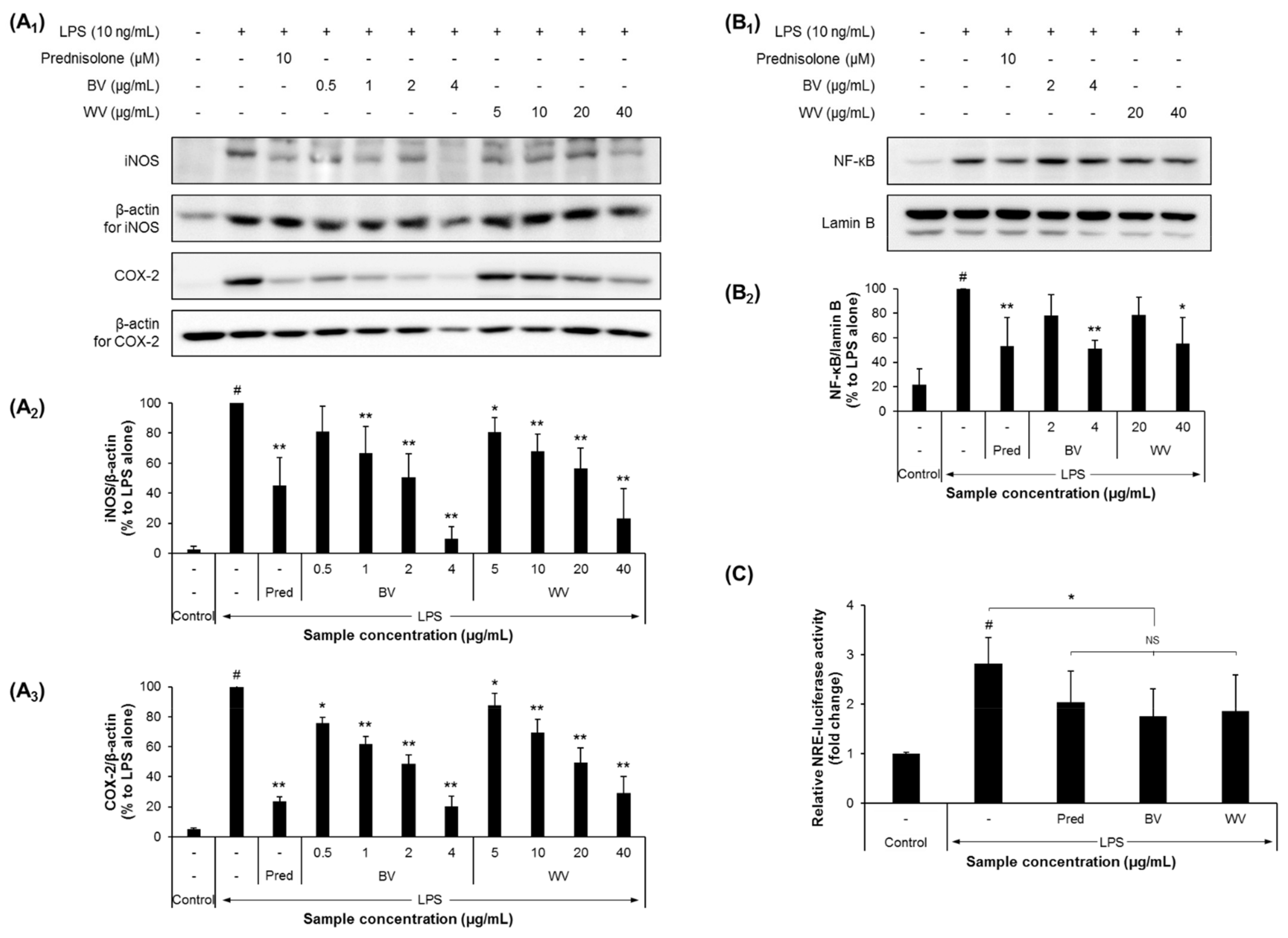 Insects 12 00297 g003 Insects 12 00297 g003