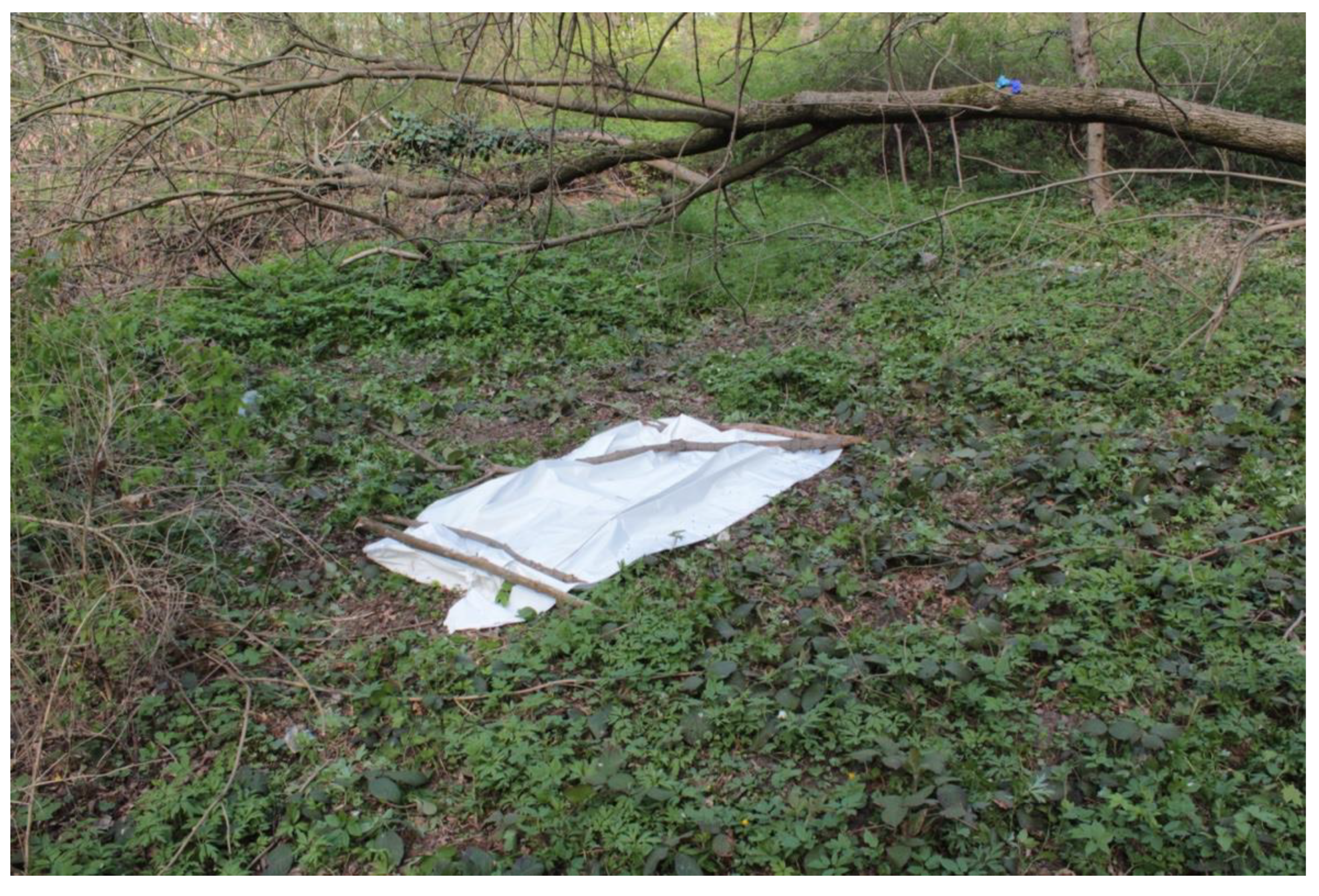 Insects 12 00302 g001 Insects 12 00302 g001