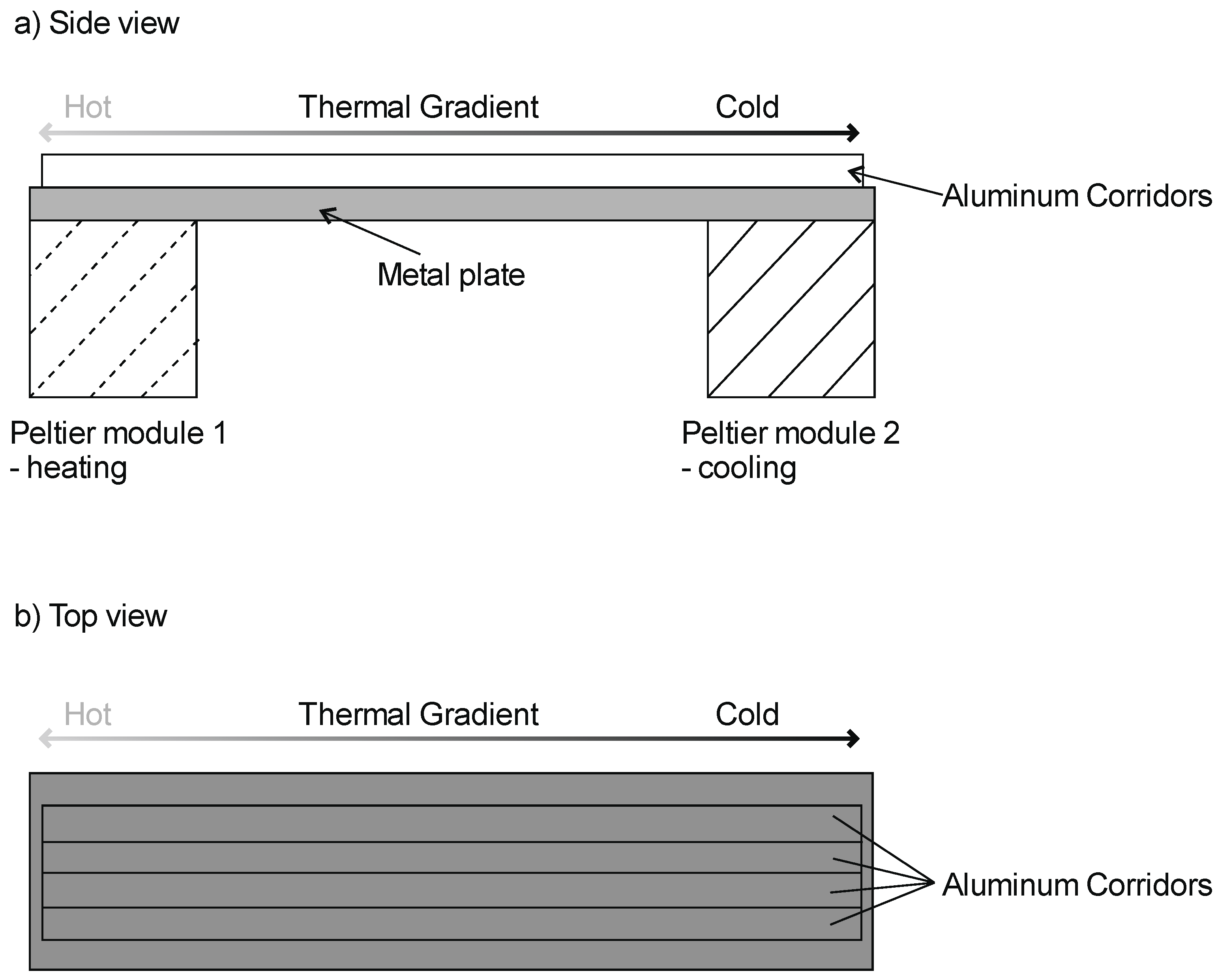 Insects 12 00310 g001 Insects 12 00310 g001