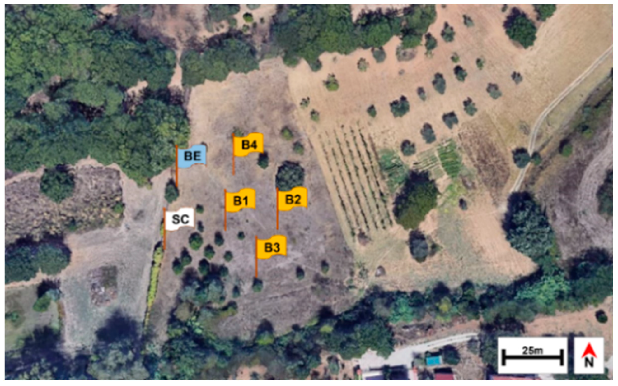 Insects 12 00311 g001 Insects 12 00311 g001