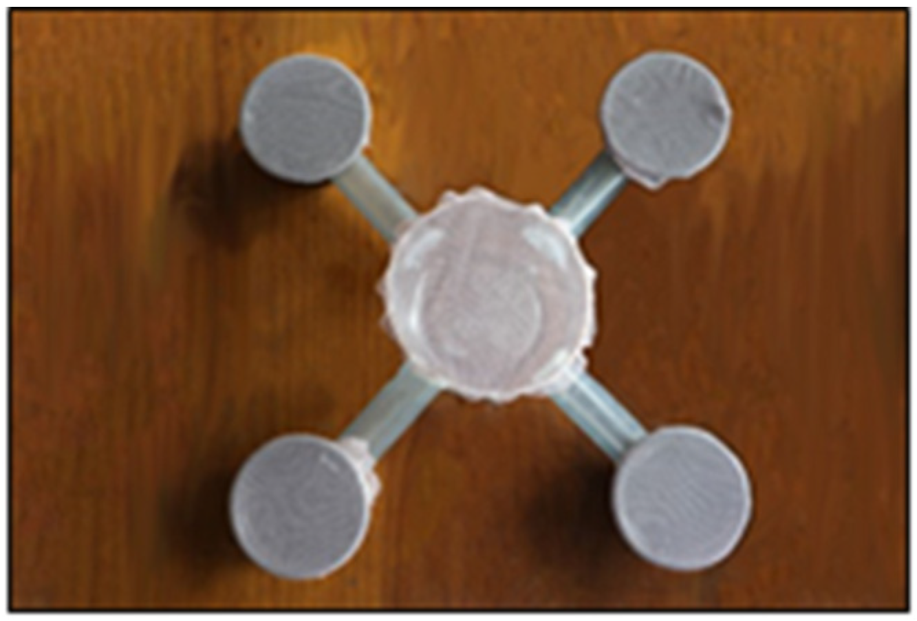 Insects 12 00313 g001