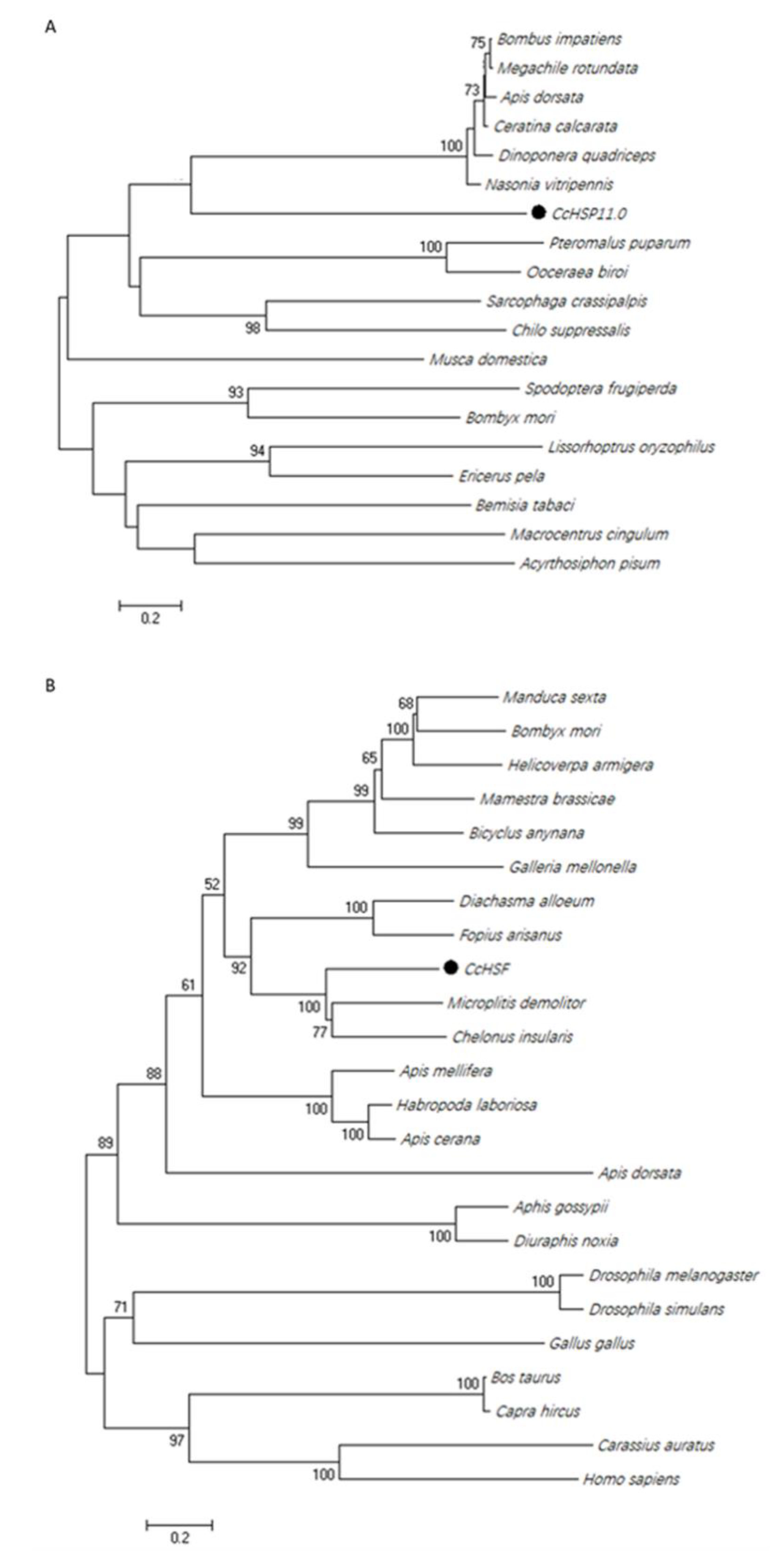 Insects 12 00322 g003 Insects 12 00322 g003