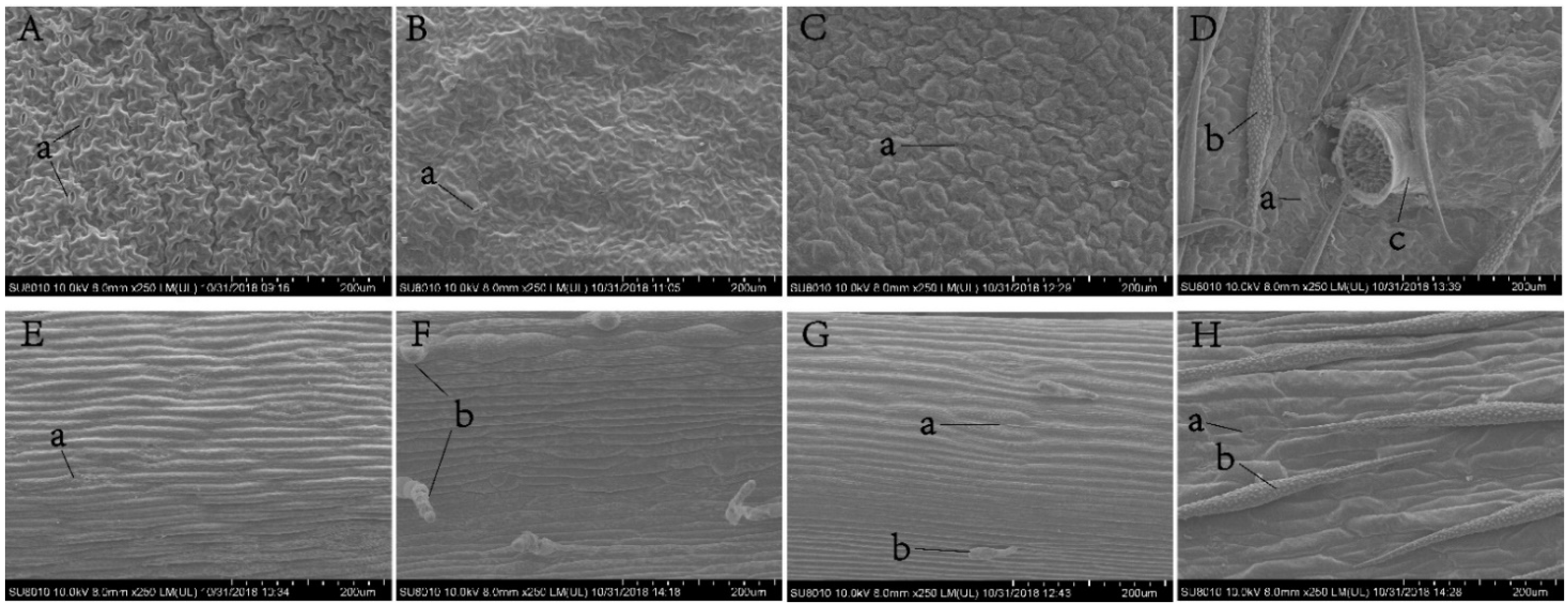 Insects 12 00326 g004 Insects 12 00326 g004
