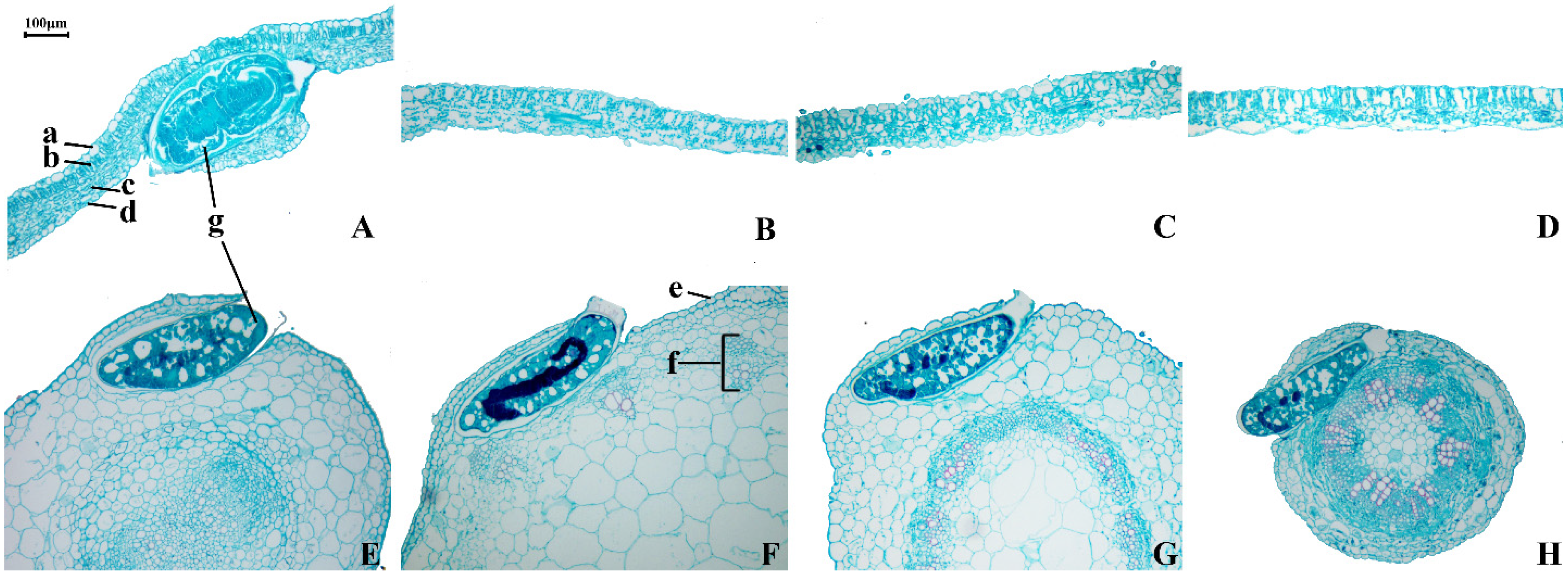 Insects 12 00326 g007 Insects 12 00326 g007