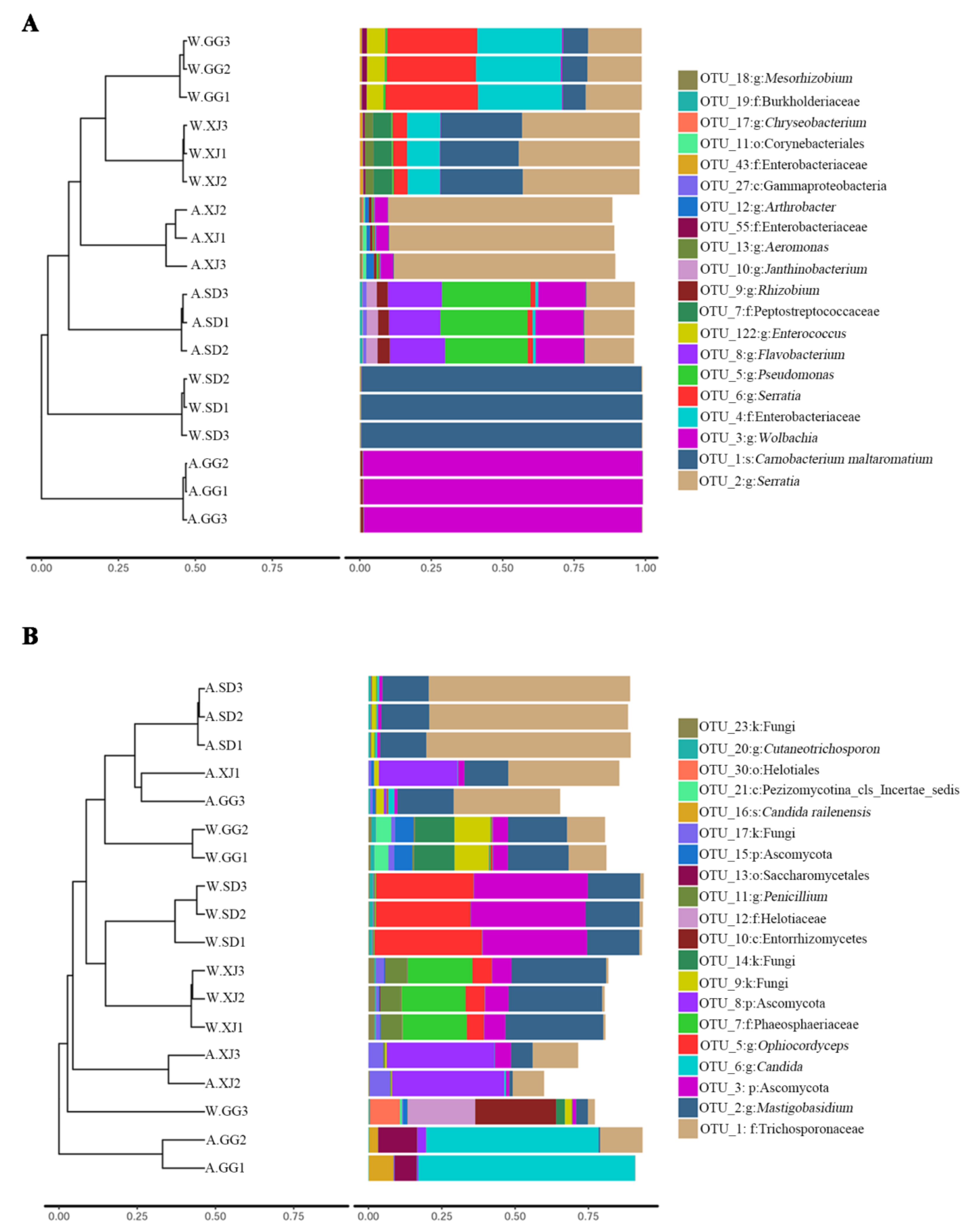 Insects 12 00327 g004