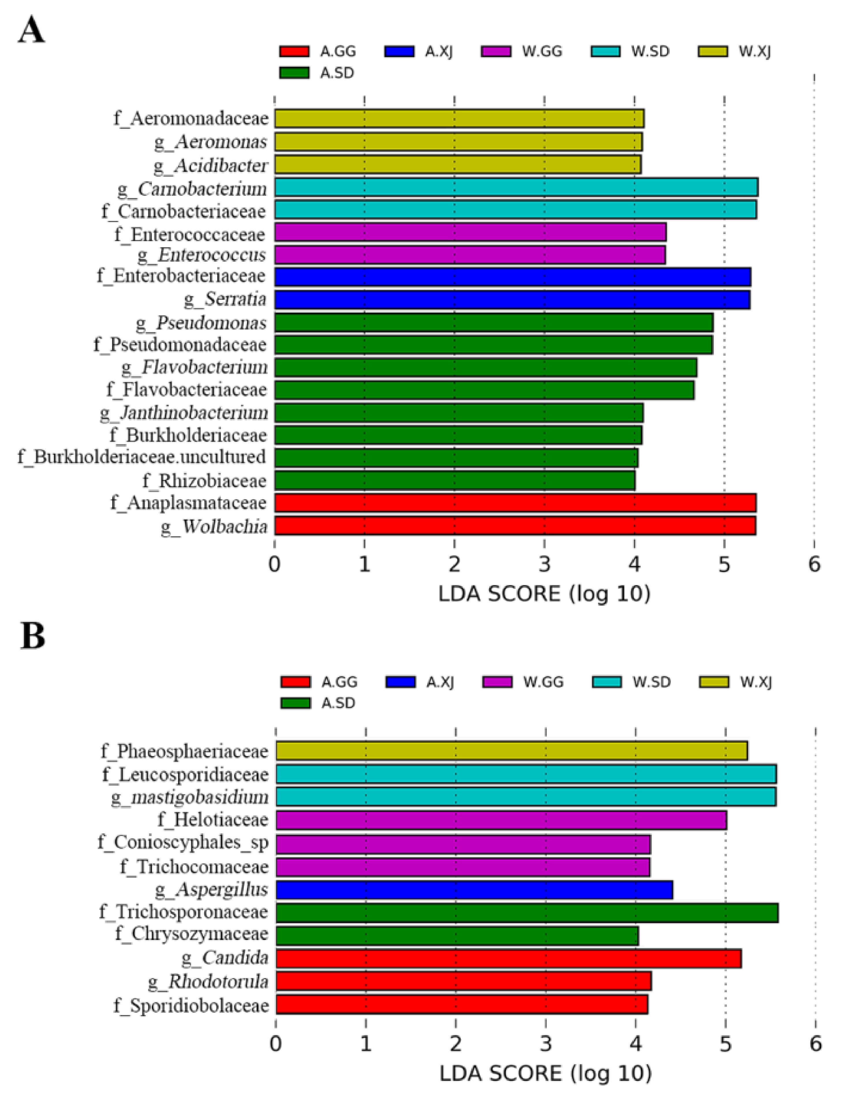 Insects 12 00327 g005