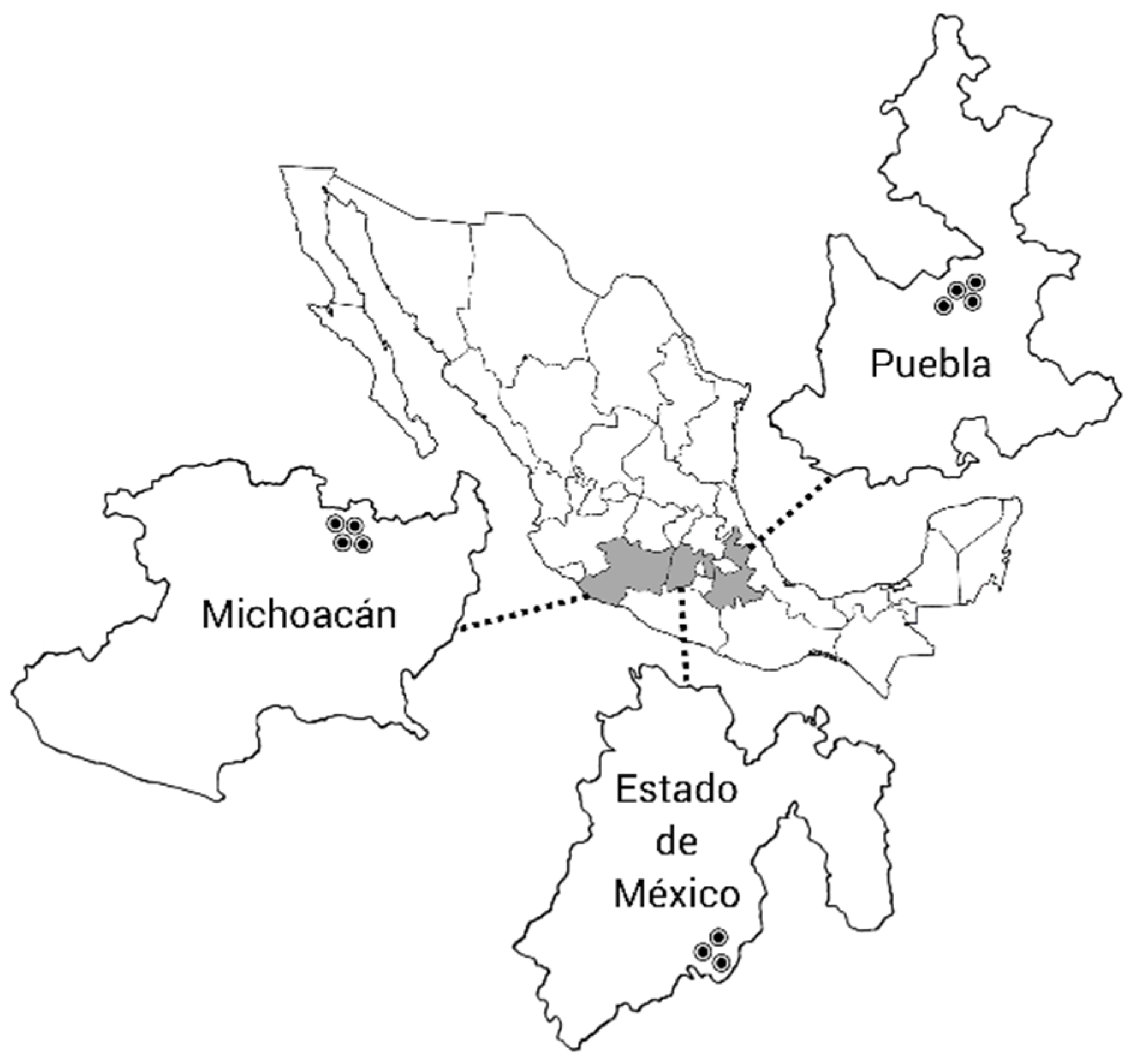 Insects 12 00331 g001