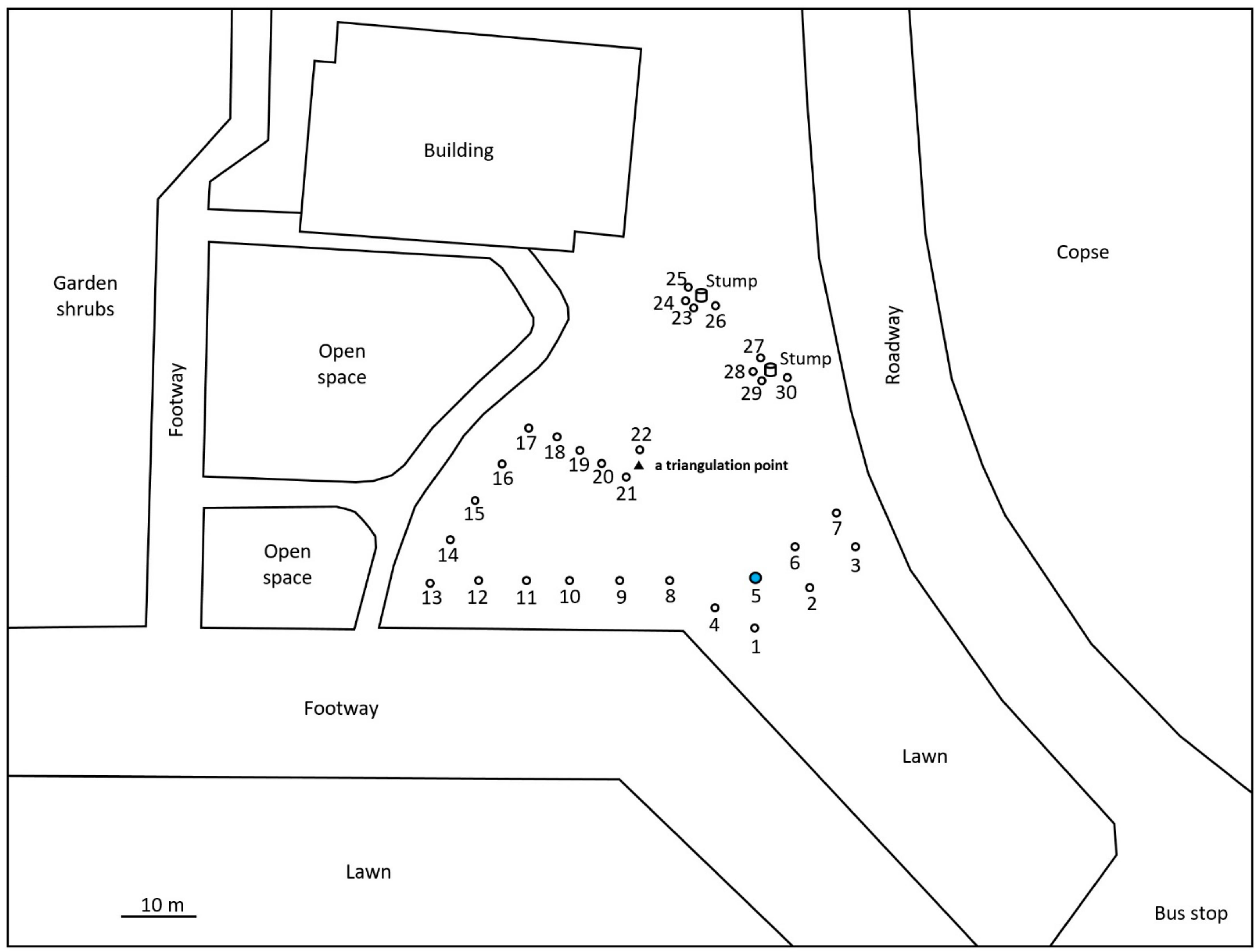 Insects 12 00334 g003