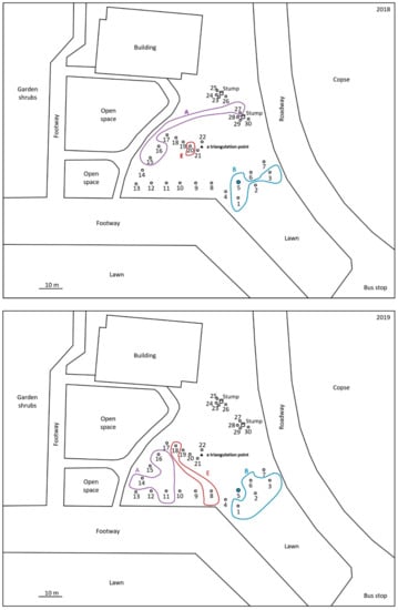 Location Sketch Map of the Study Area Showing VES Points. ( shapes are... |  Download Scientific Diagram