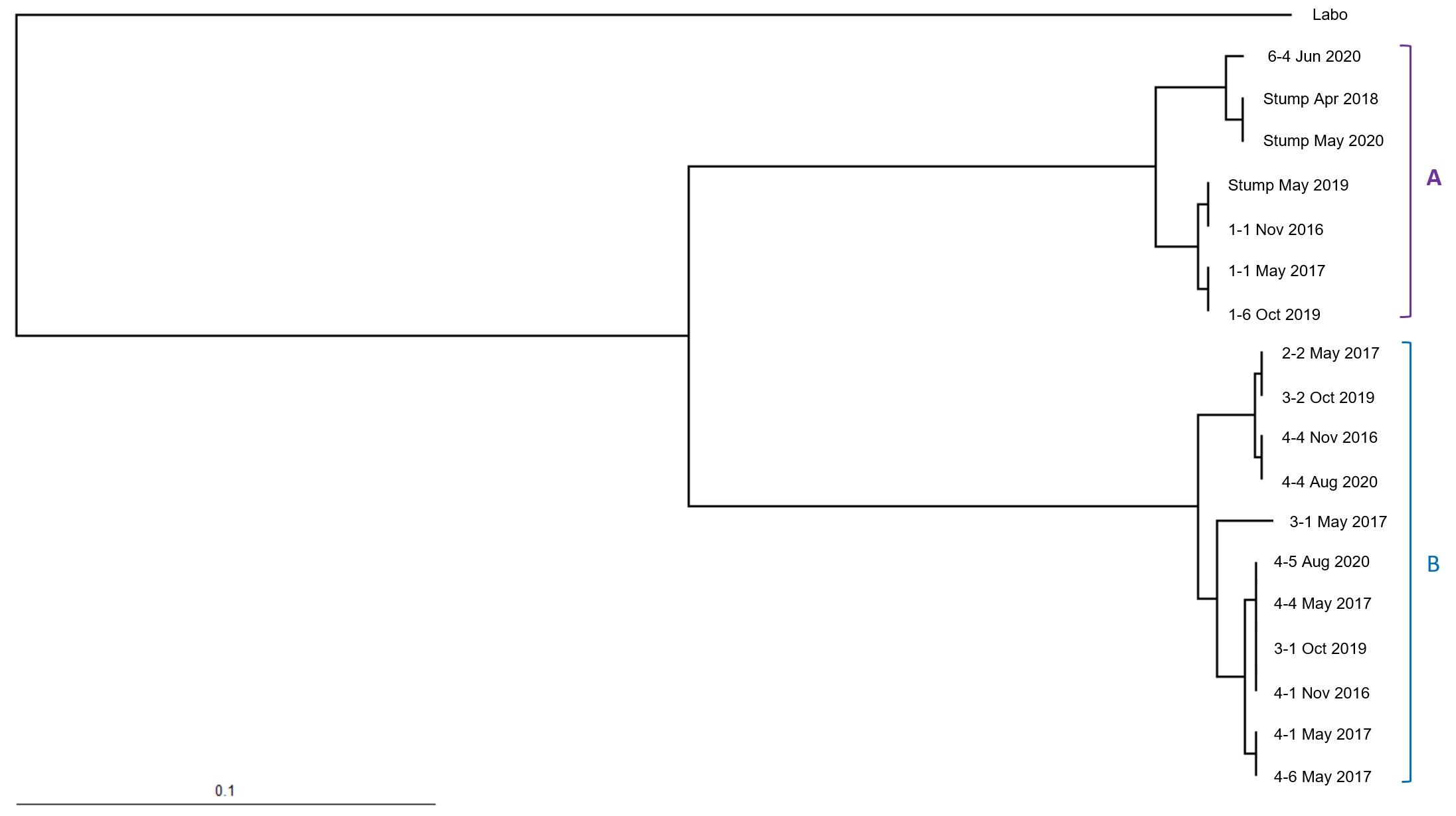 Insects 12 00334 g008