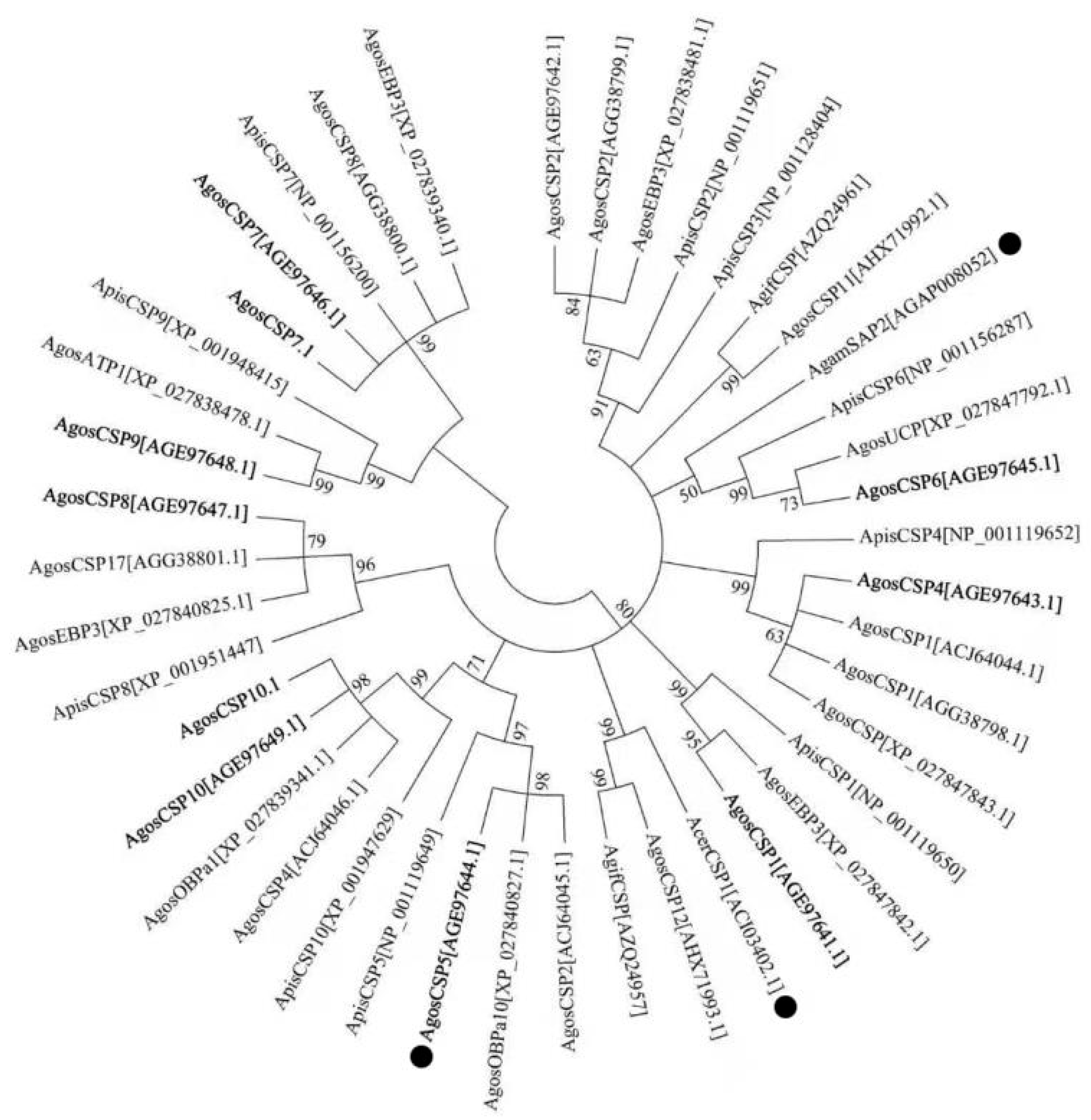 Insects 12 00335 g001 Insects 12 00335 g001
