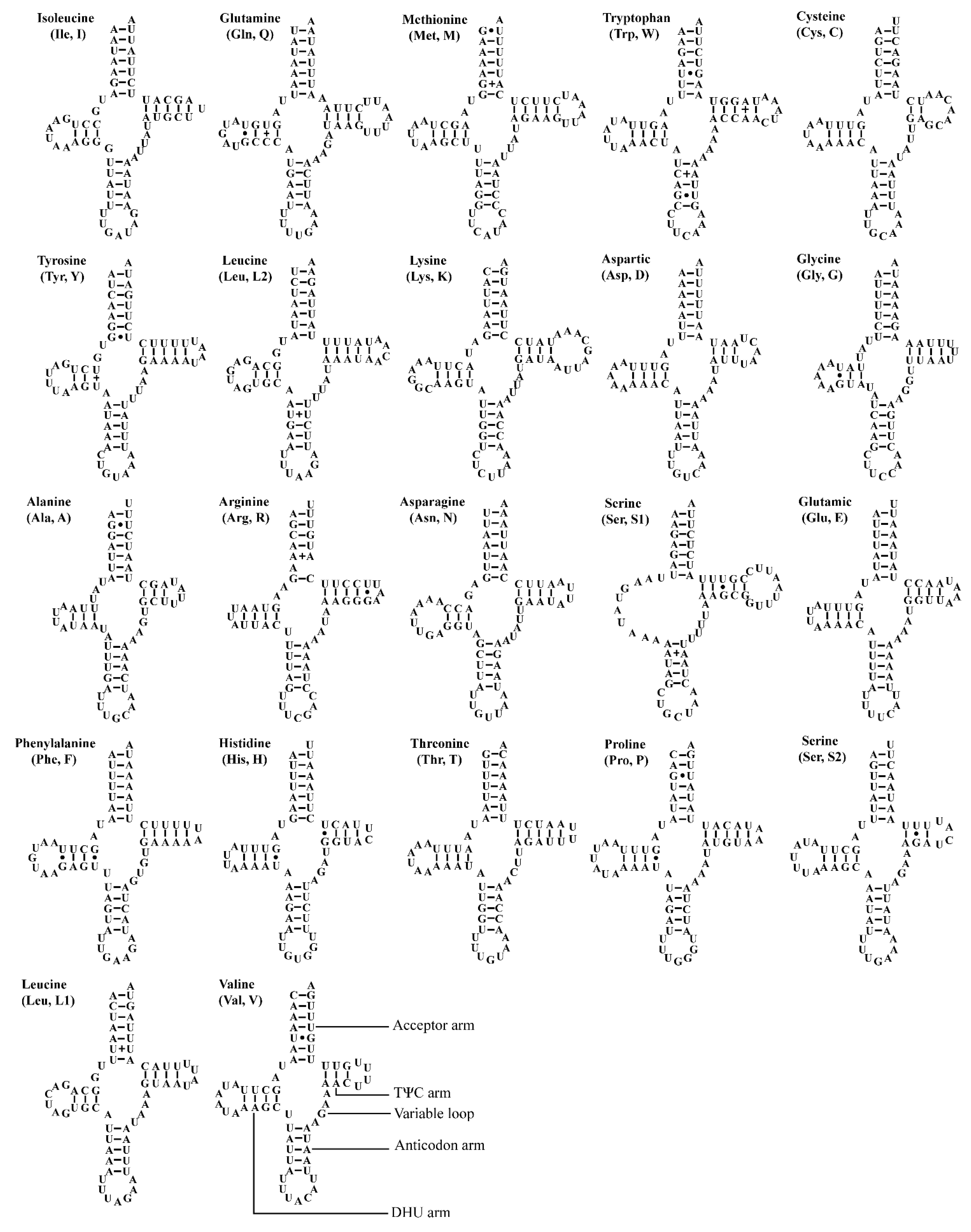 Insects 12 00338 g005 Insects 12 00338 g005