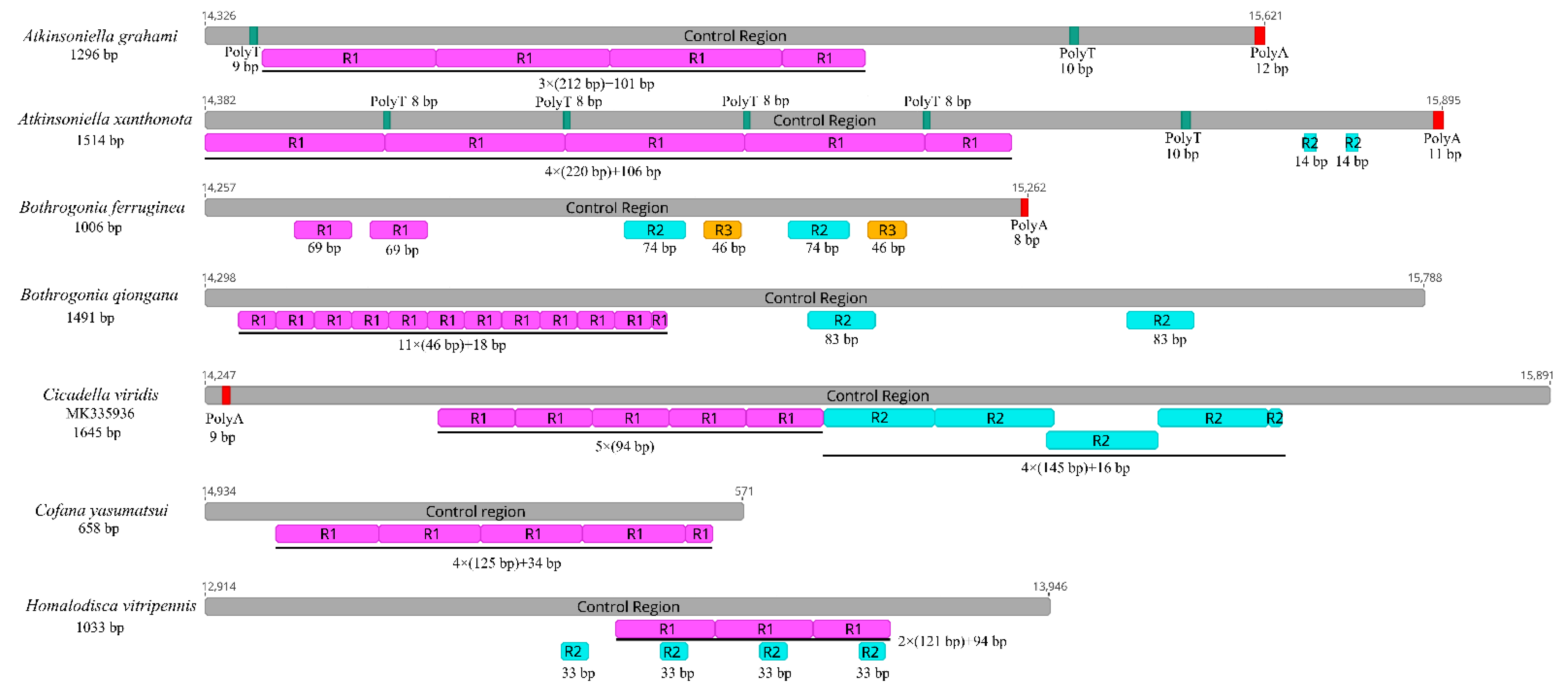 Insects 12 00338 g006 Insects 12 00338 g006