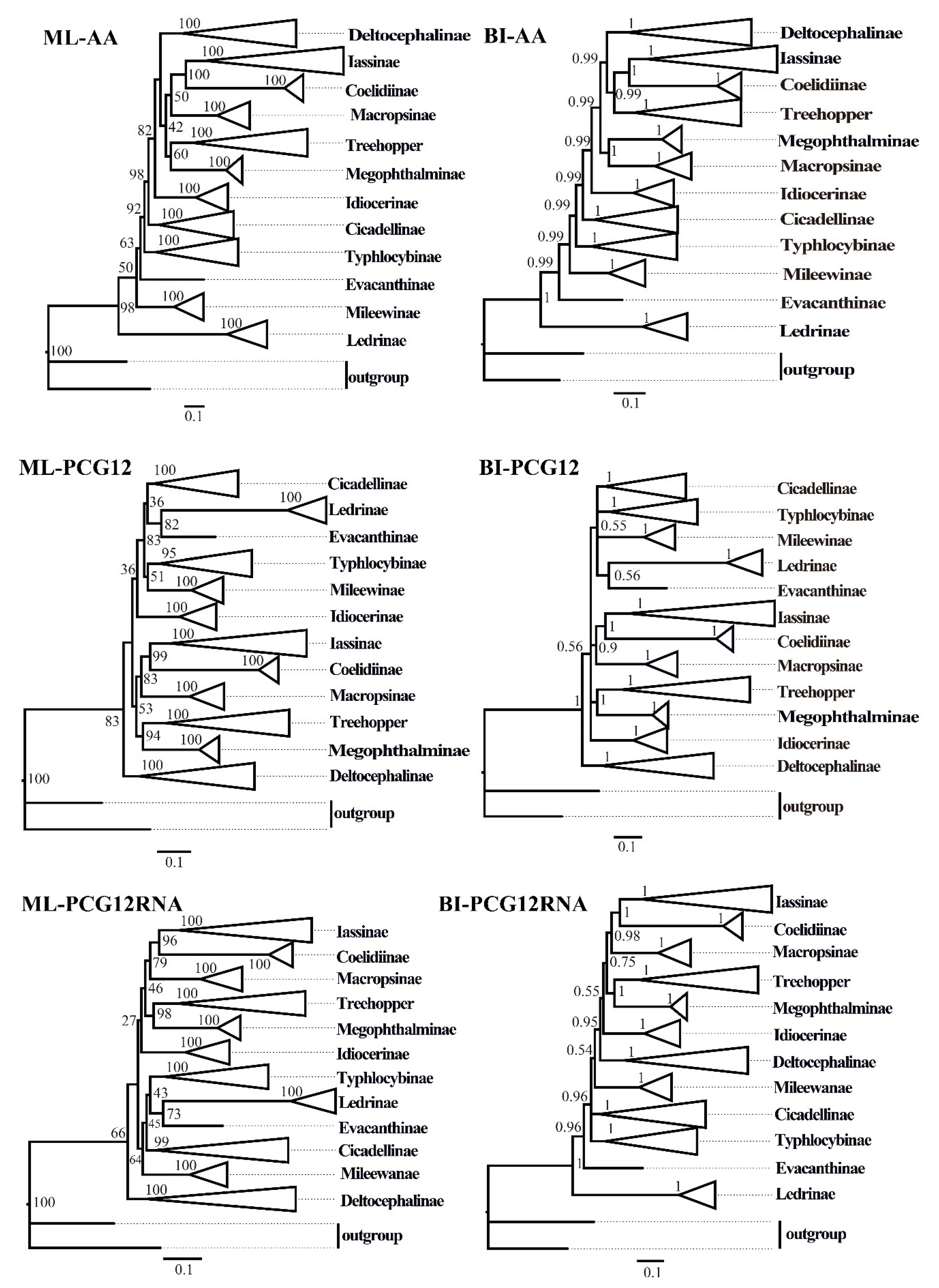 Insects 12 00338 g007 Insects 12 00338 g007