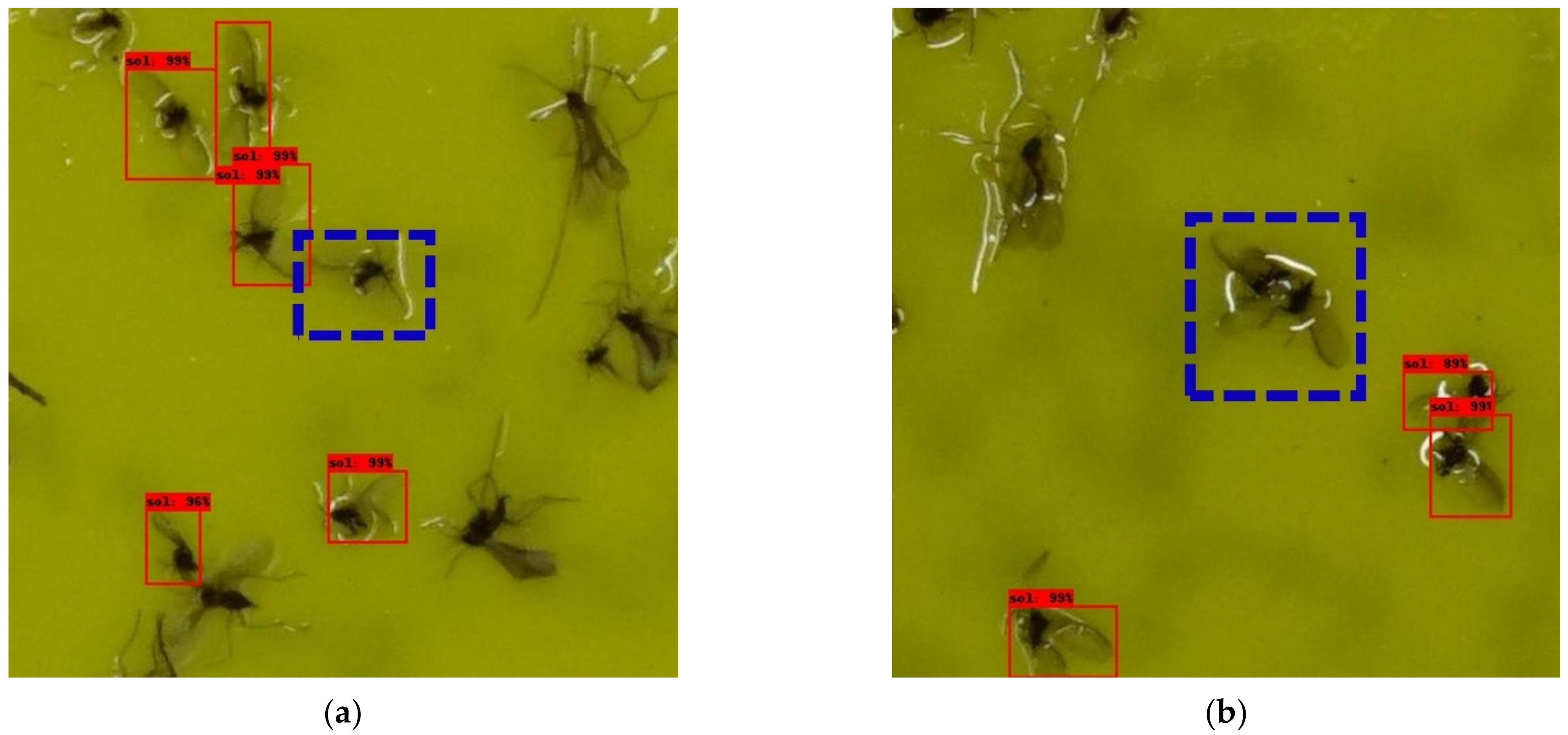 Insects 12 00342 g009a