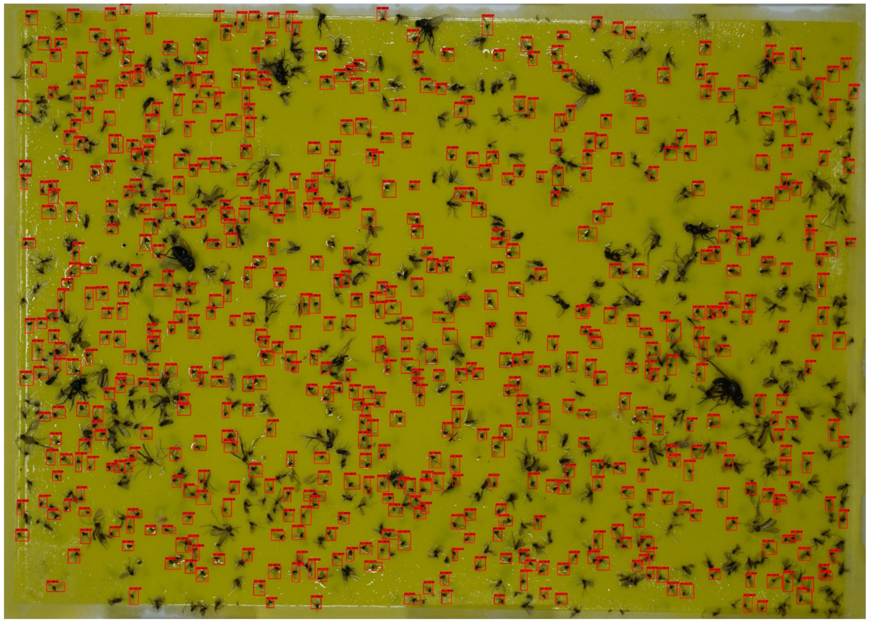 Insects 12 00342 g011