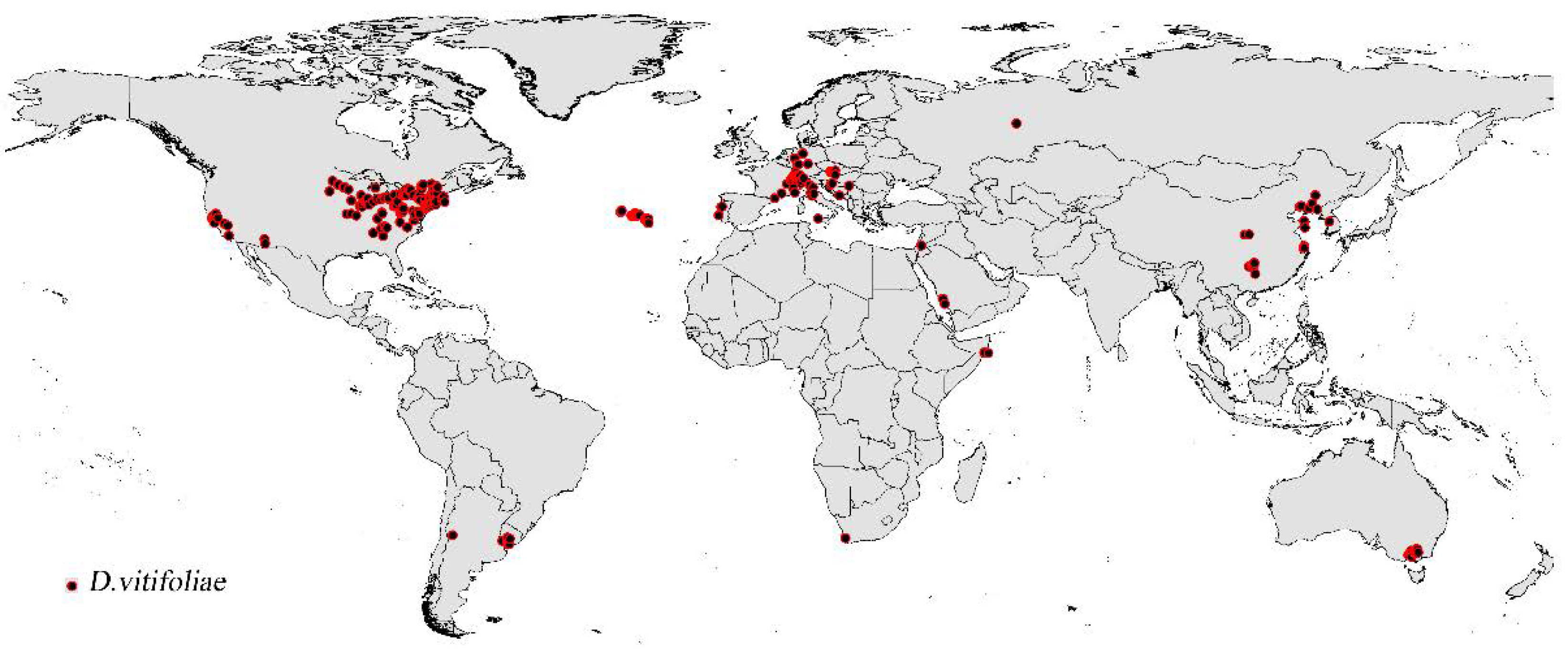 Potential Global Distribution of Daktulosphaira vitifoliae Potential Global Distribution of Daktulosphaira vitifoliae