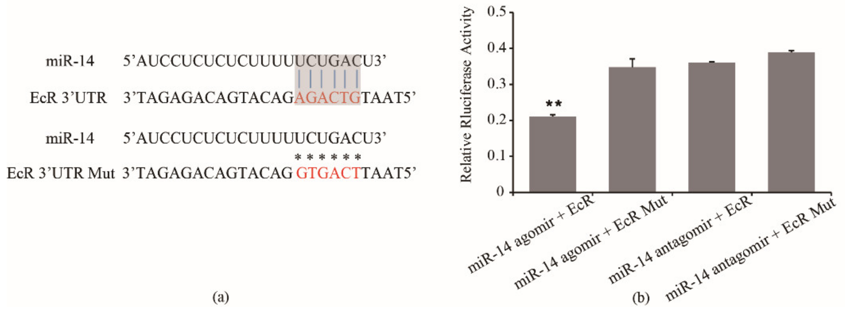 Insects 12 00351 g004 Insects 12 00351 g004