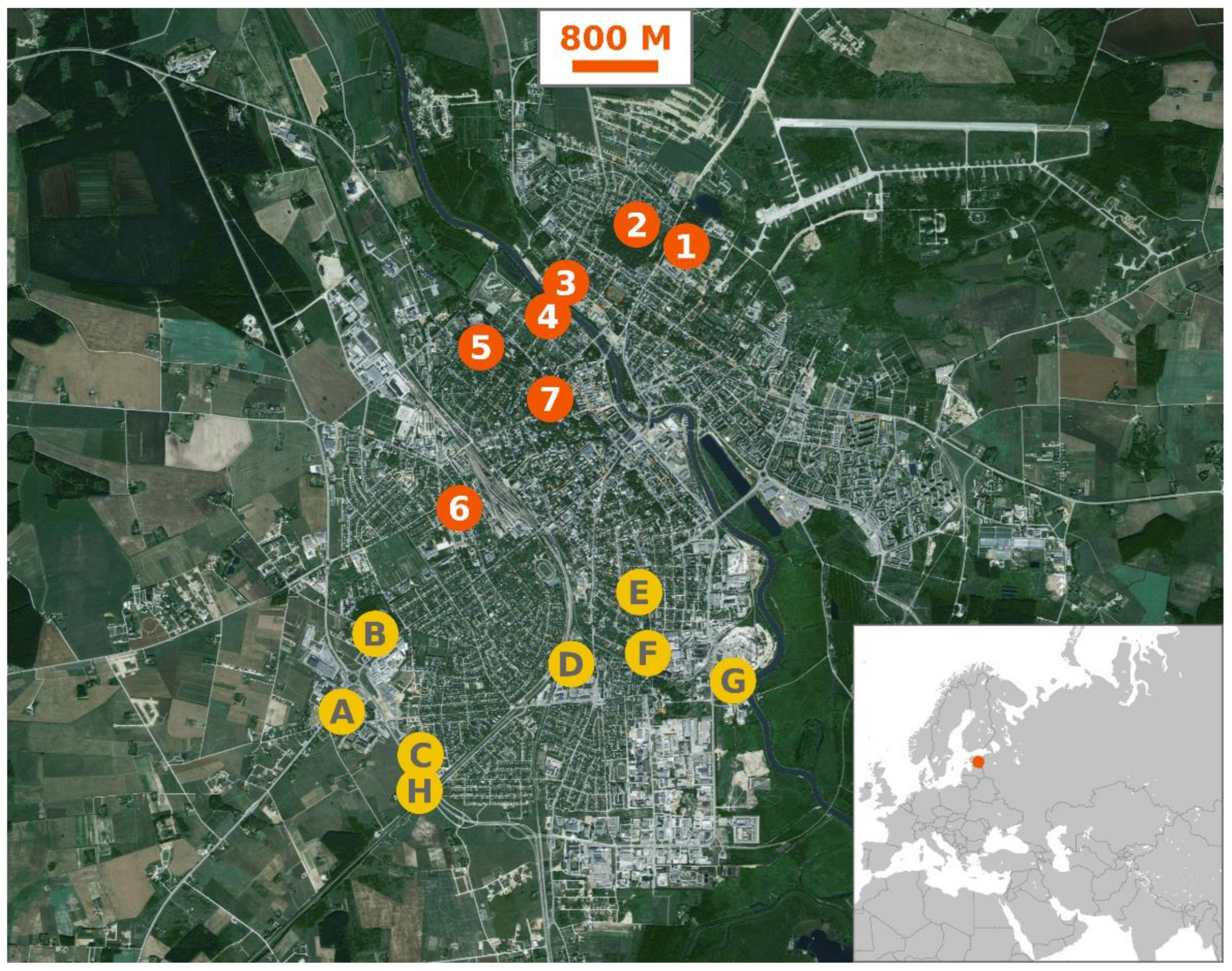 Insects 12 00352 g001