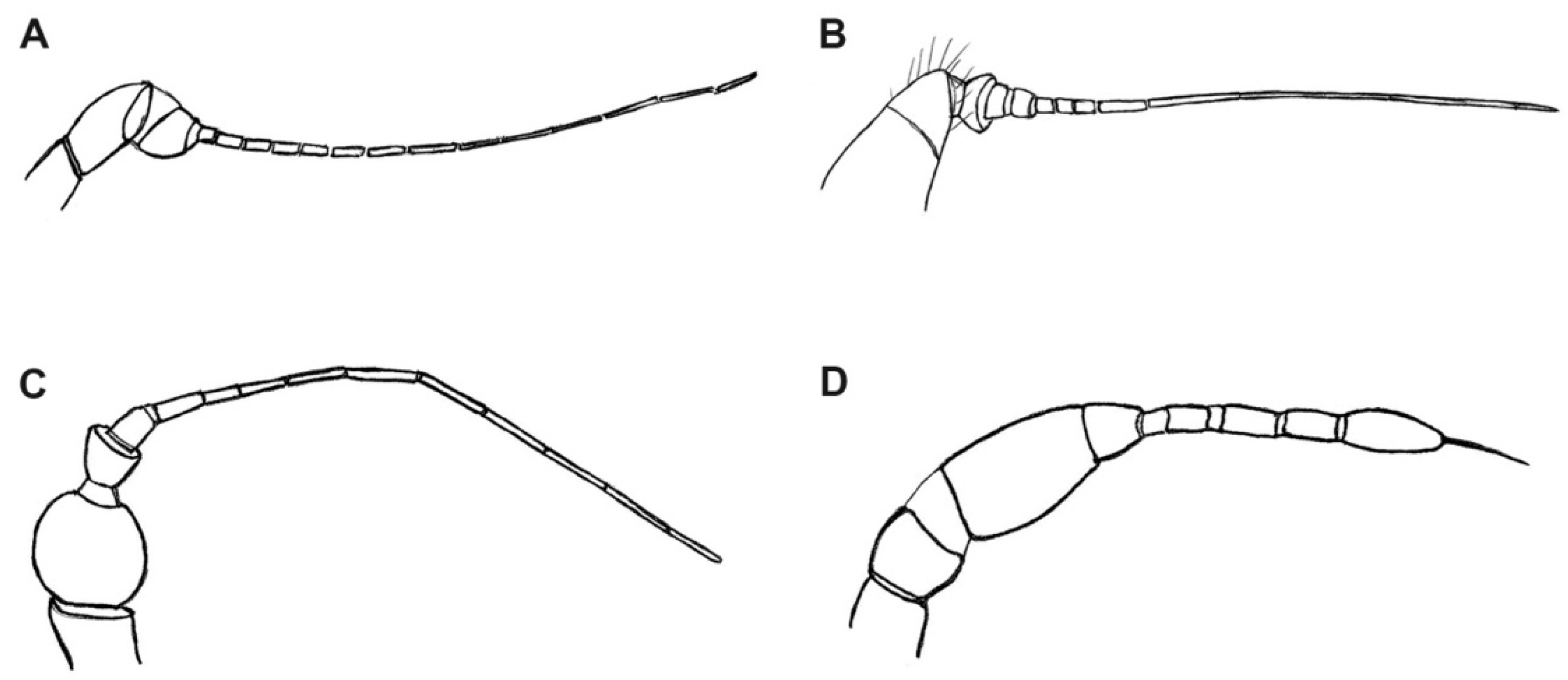Insects 12 00364 g002