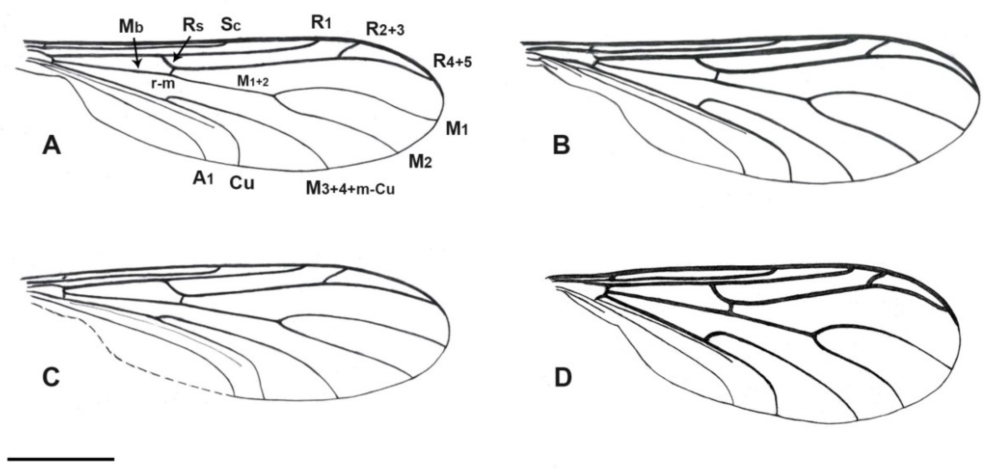 Insects 12 00364 g003