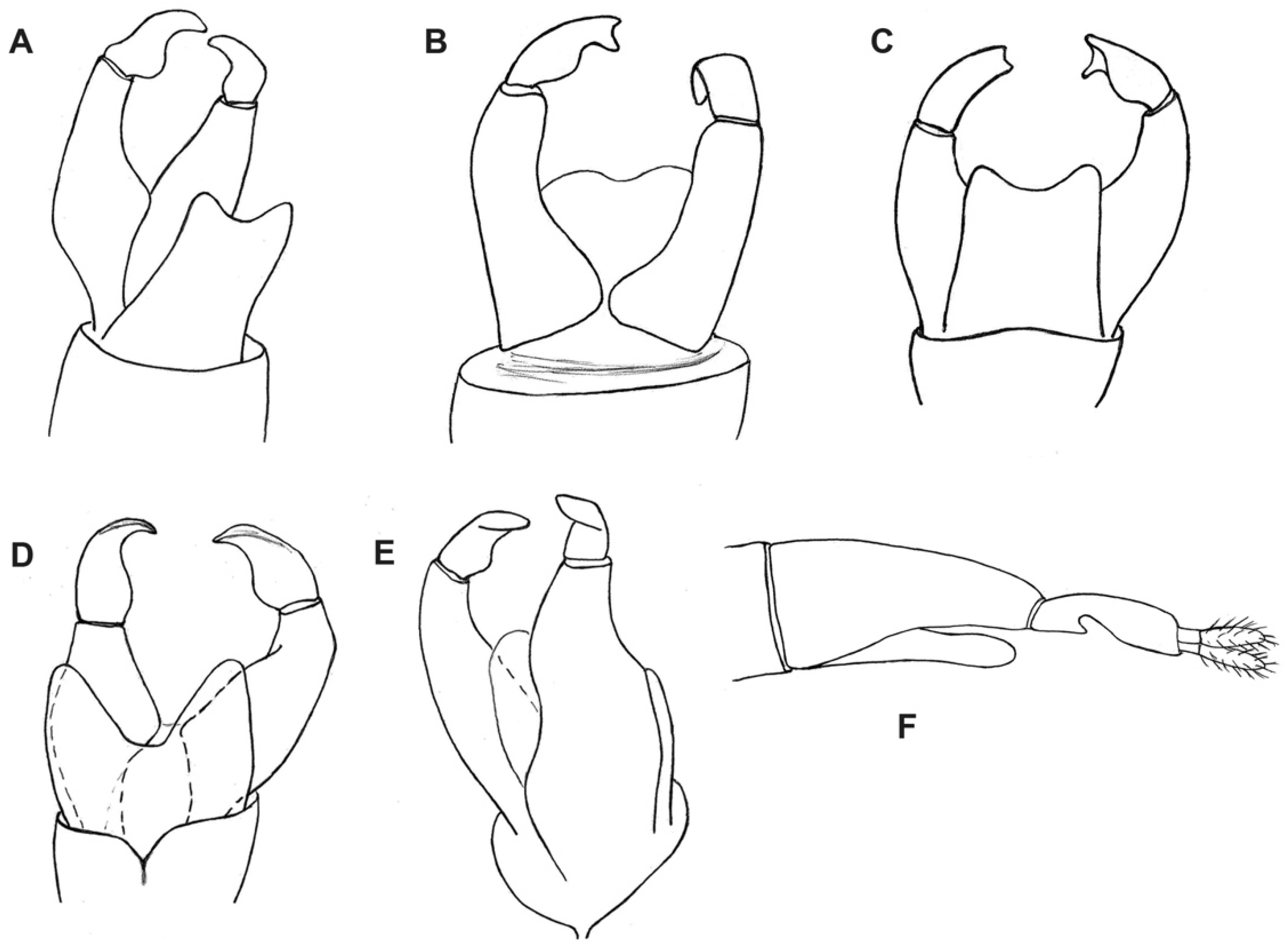 Insects 12 00364 g004