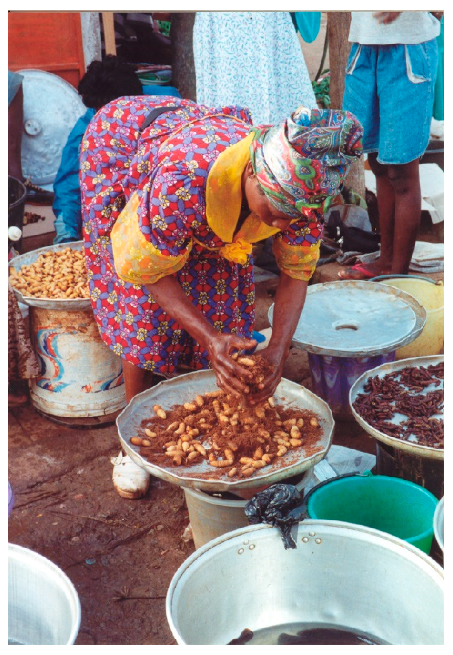 Insects Free Full-Text Cultural Significance of Beetles in Sub-Saharan Africa picture photo