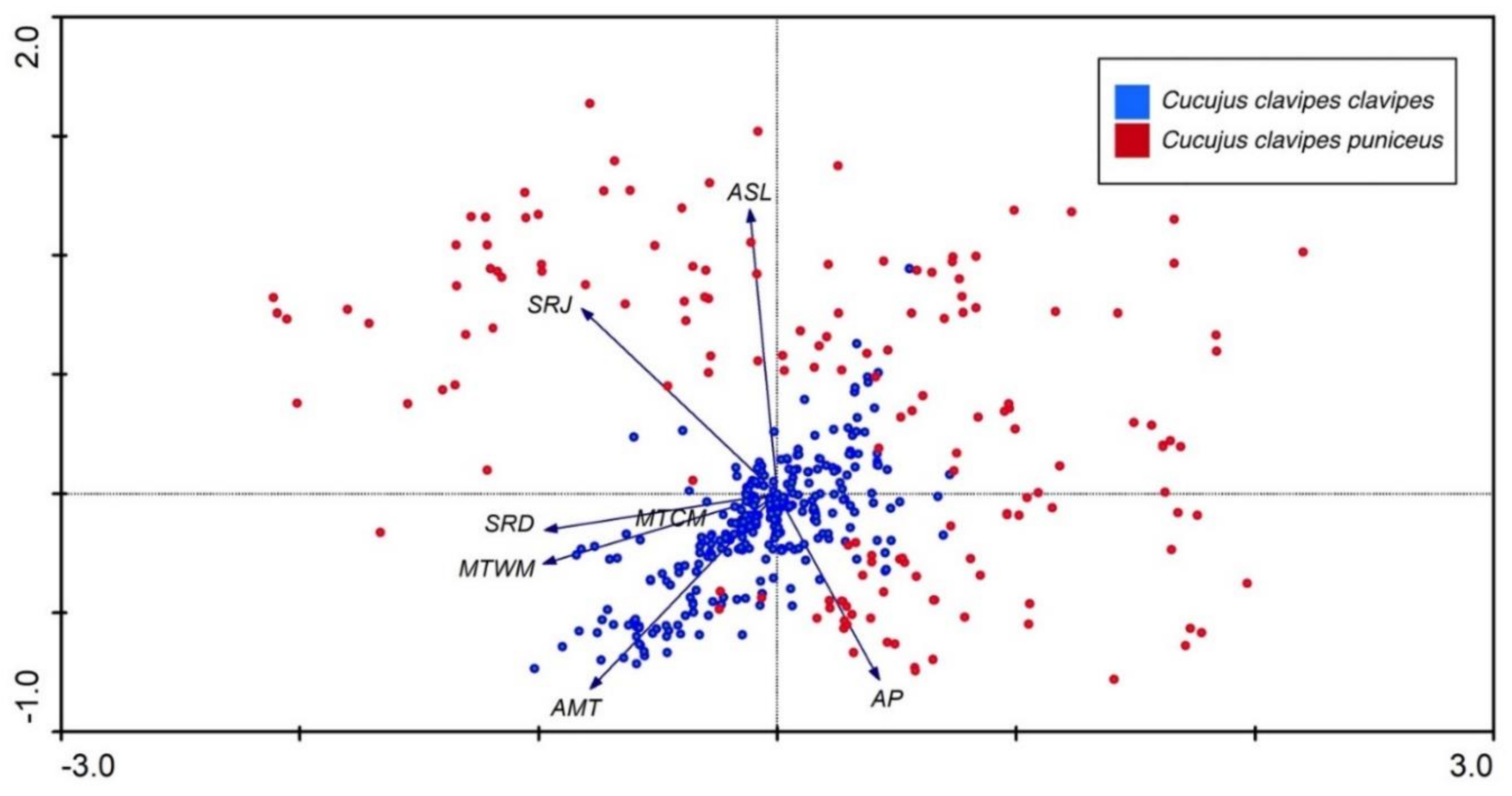 Insects Free Full-Text From Phenology and Habitat Preferences to Climate Change Importance of Citizen Science in Studying Insect Ecology in the Continental Scale with American Red Flat Bark Beetle, Cucujus