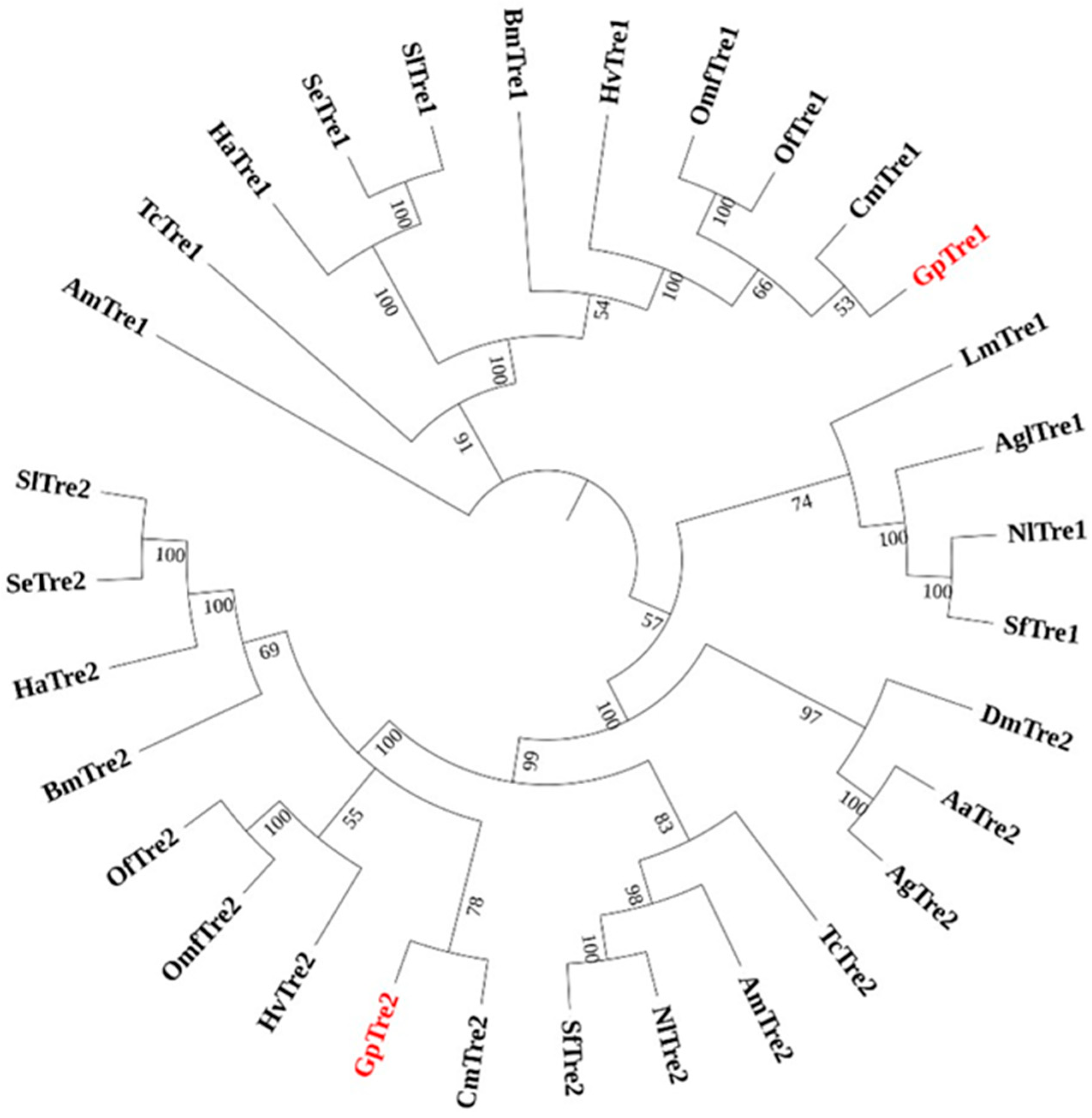Insects 12 00370 g002 Insects 12 00370 g002