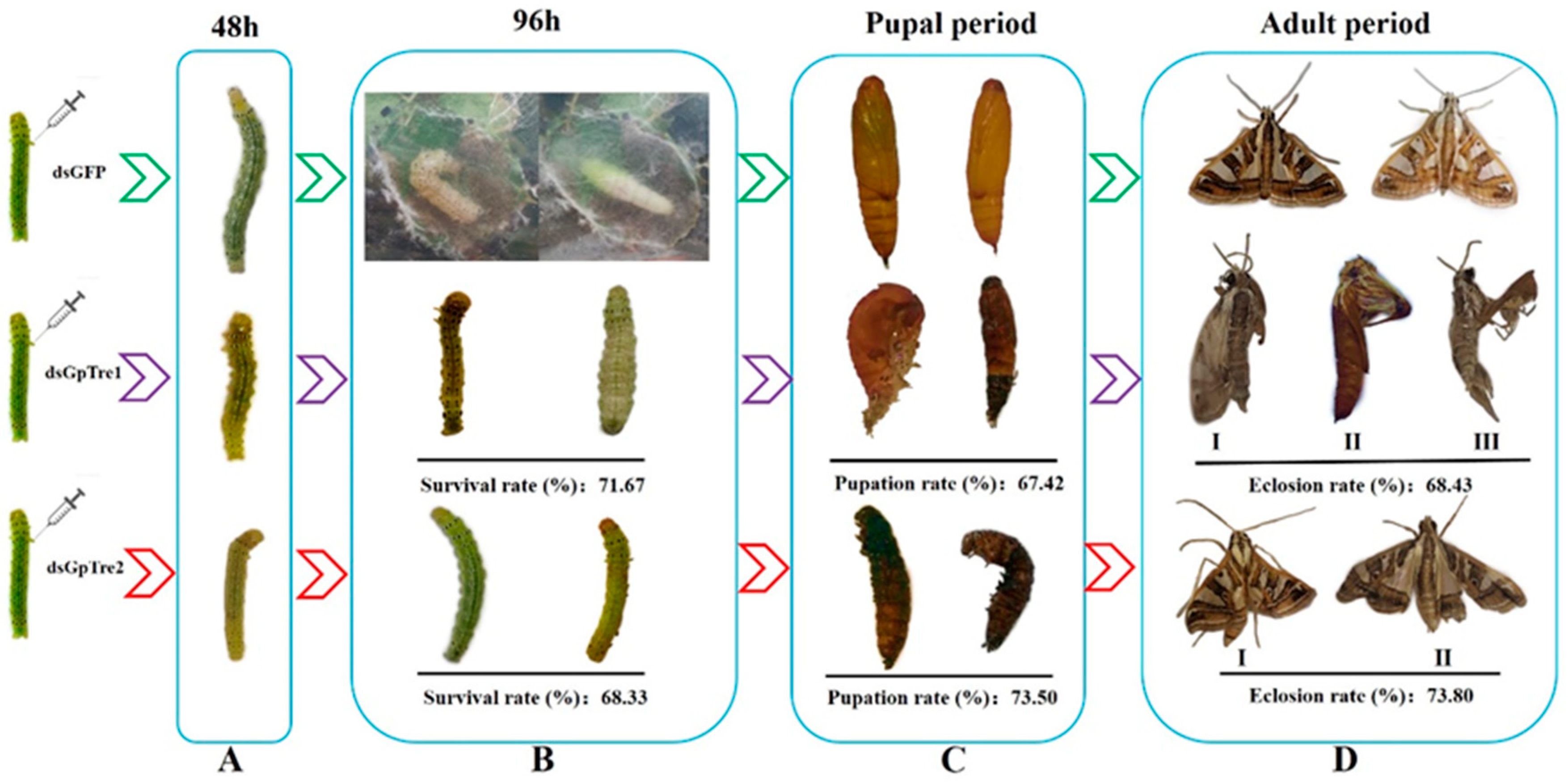 Insects 12 00370 g005 Insects 12 00370 g005