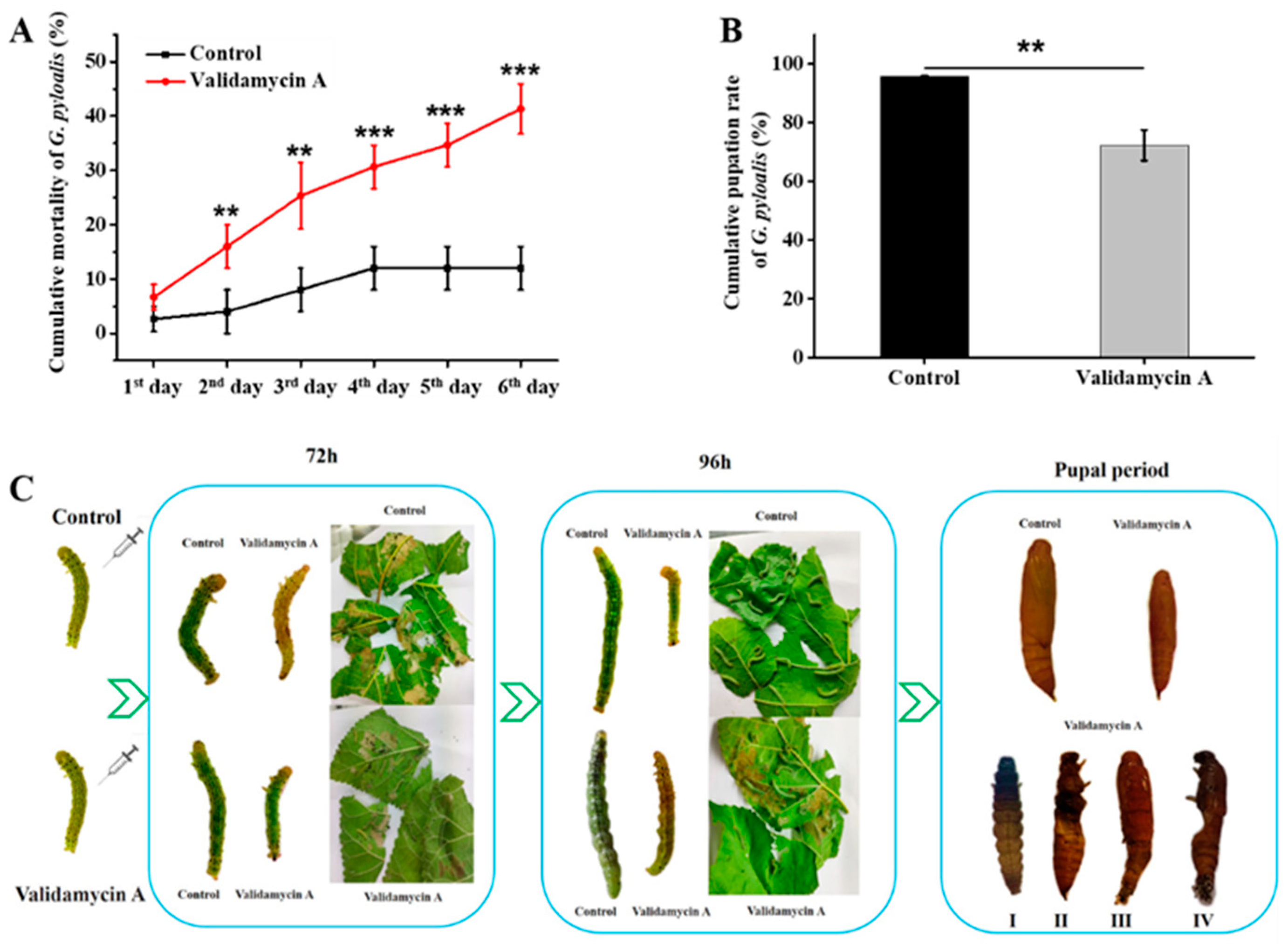 Insects 12 00370 g008 Insects 12 00370 g008
