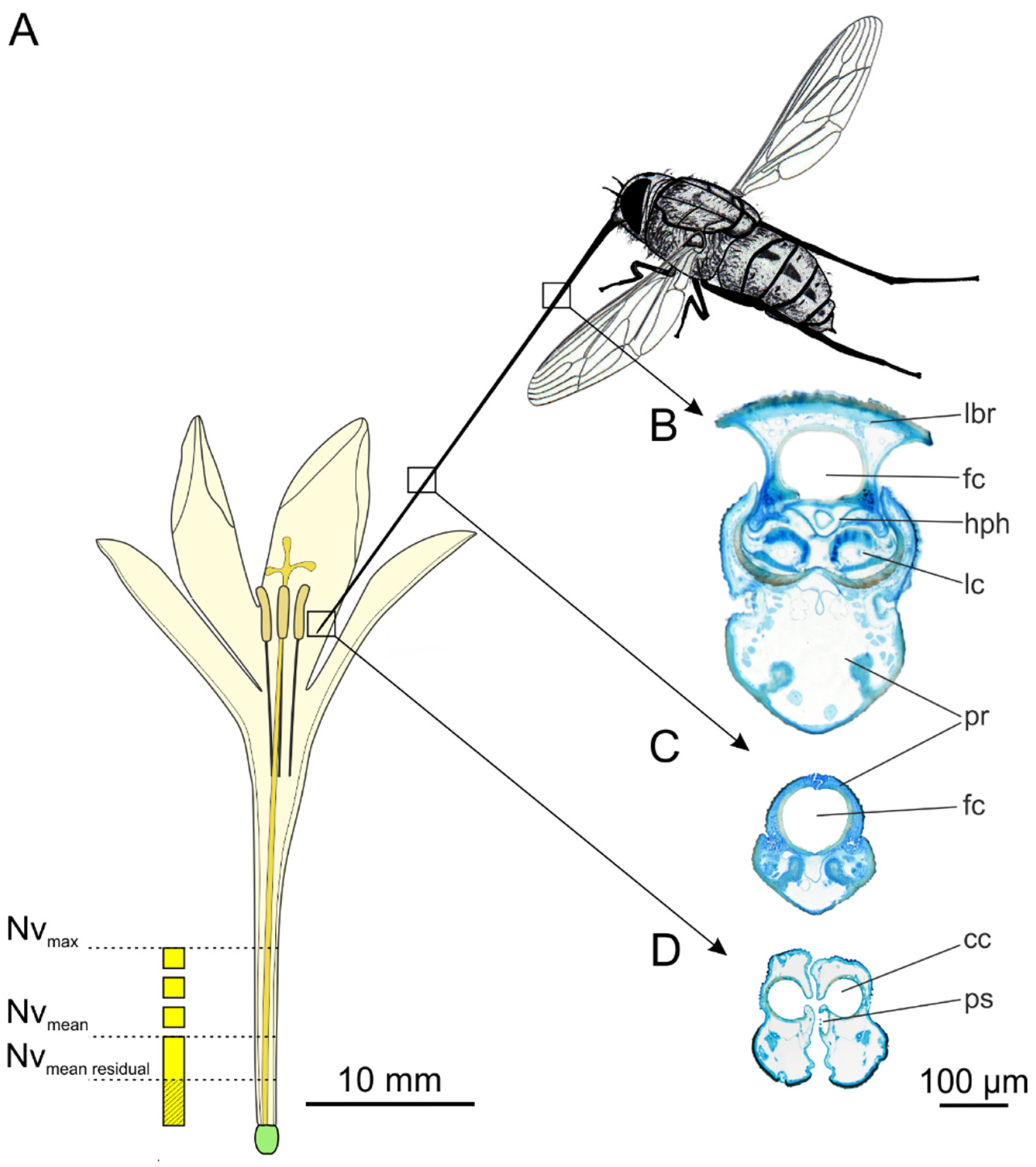 Insects 12 00371 g003 Insects 12 00371 g003