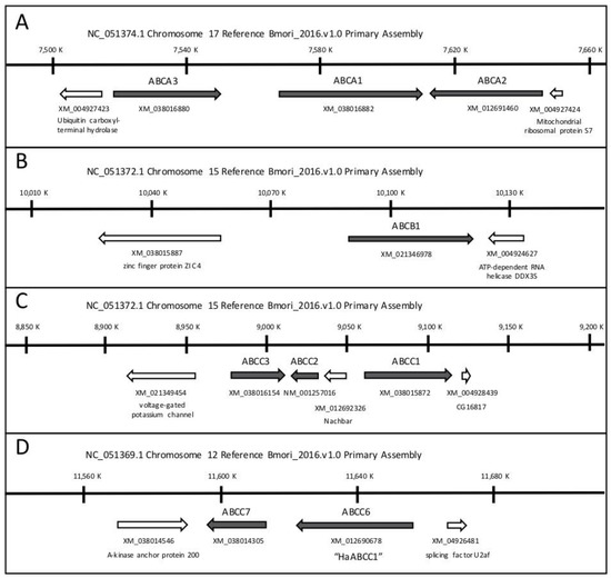The Essential and Enigmatic Role of ABC Transporters in Bt