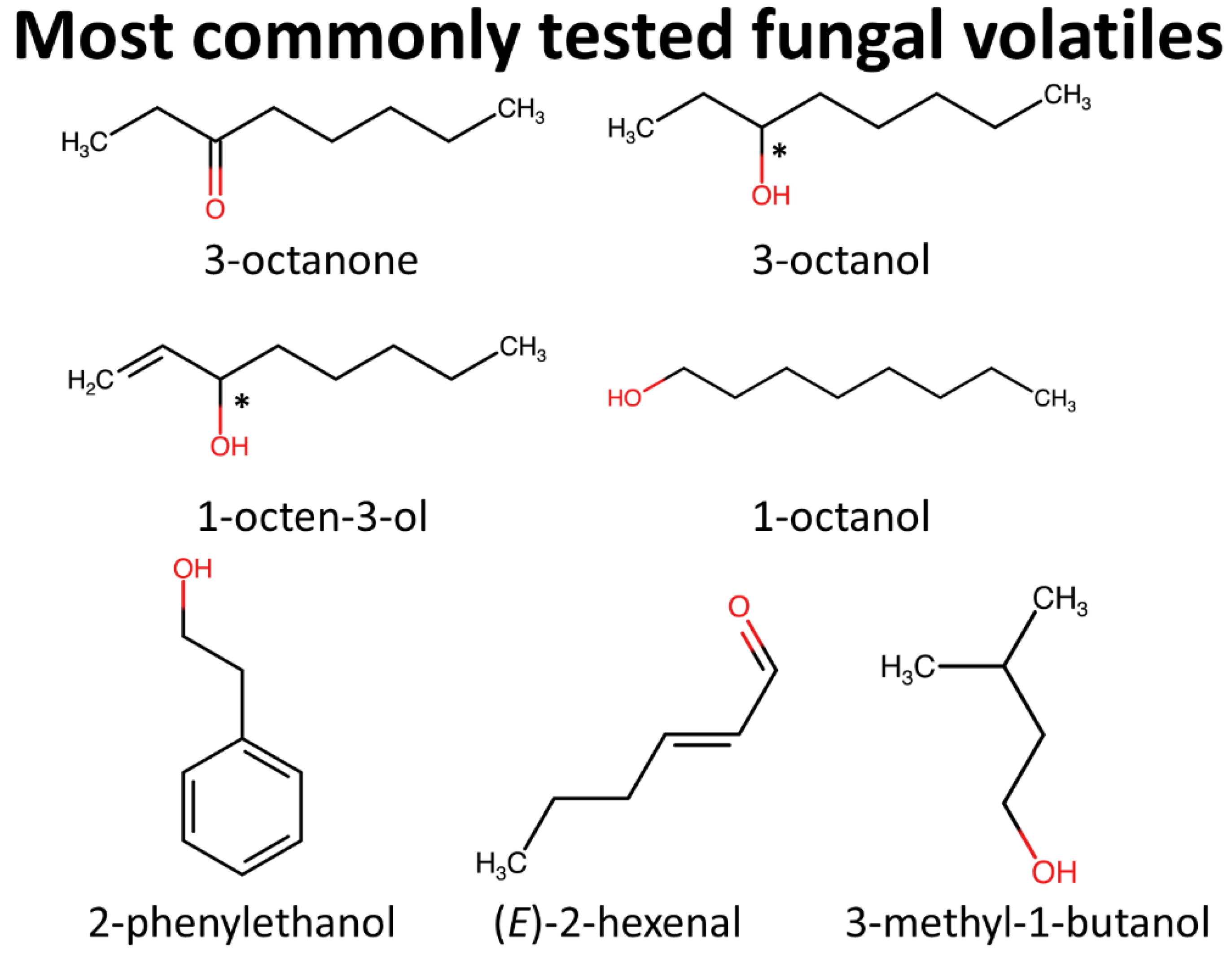 Insects 12 00391 g002