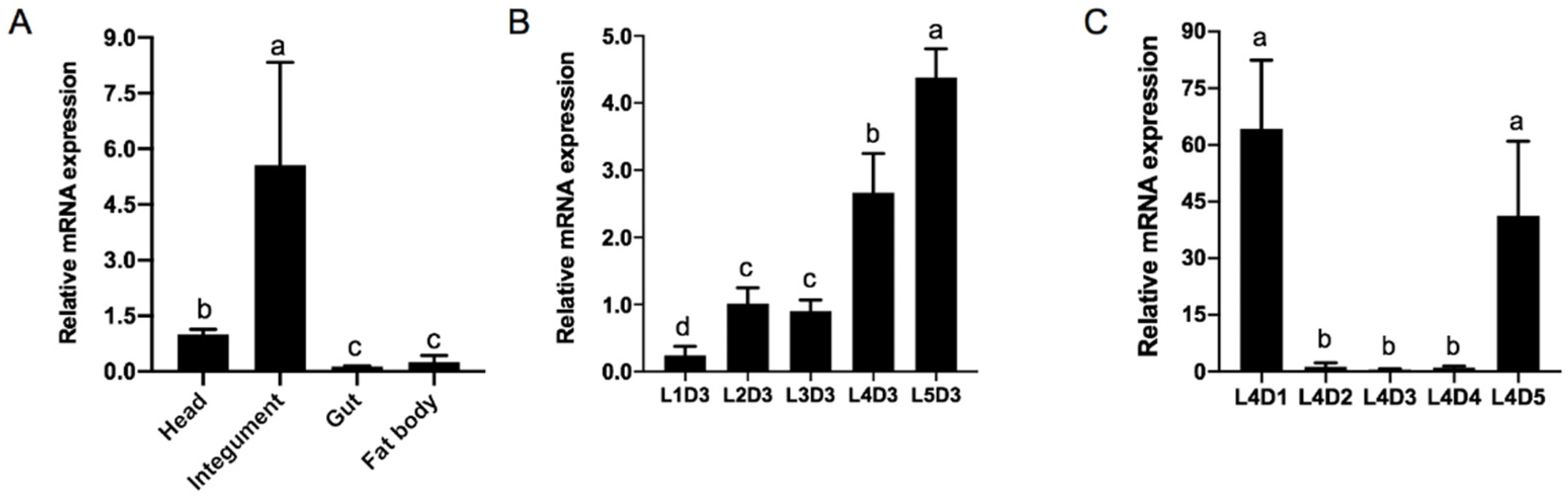 Insects 12 00406 g002