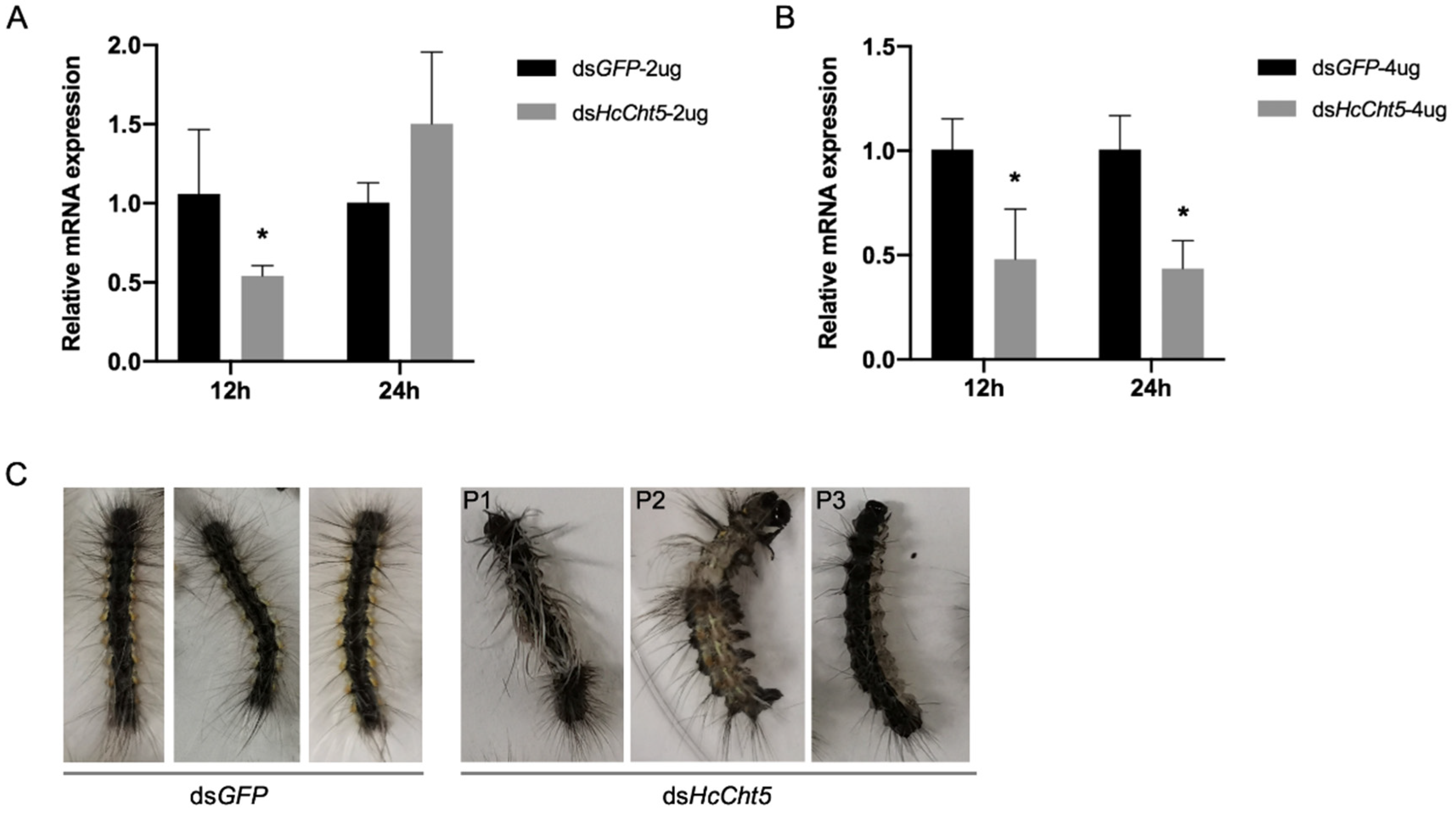 Insects 12 00406 g003