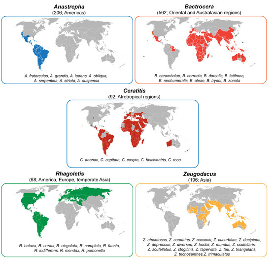 Tephritid Fruit Fly Semiochemicals: Current Knowledge and