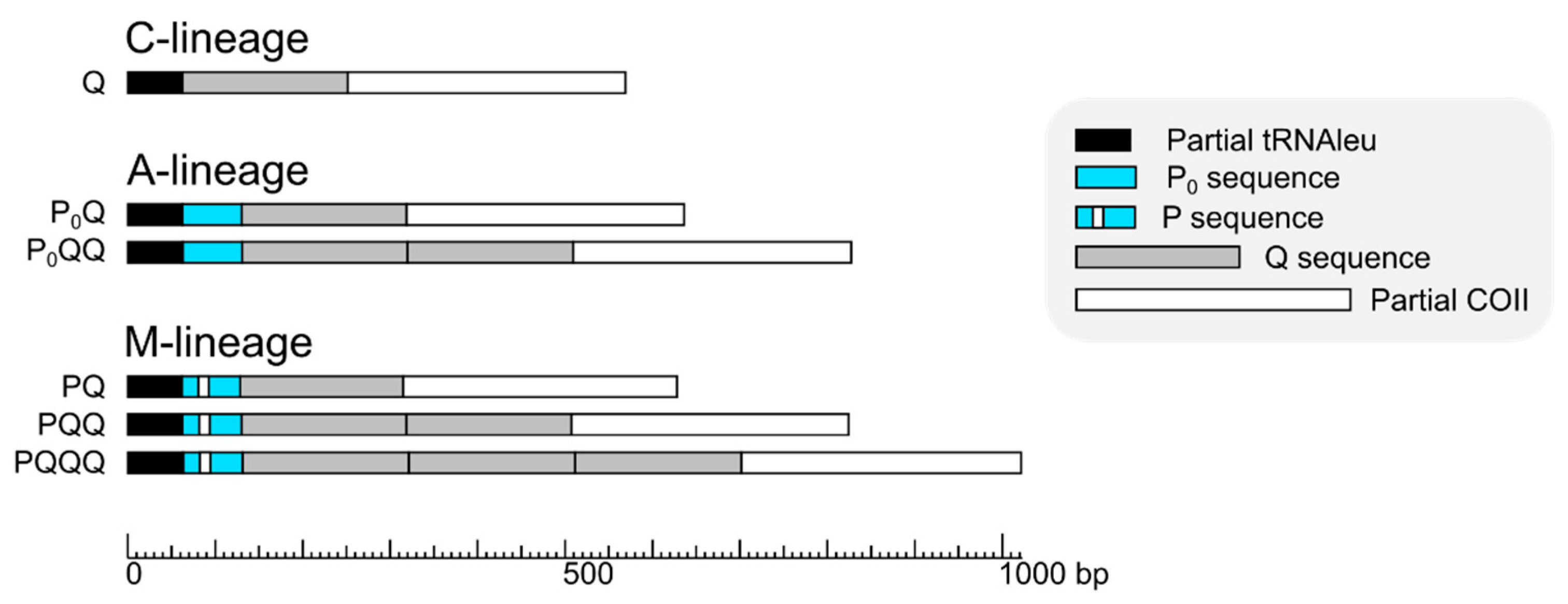 Insects 12 00410 g002 Insects 12 00410 g002