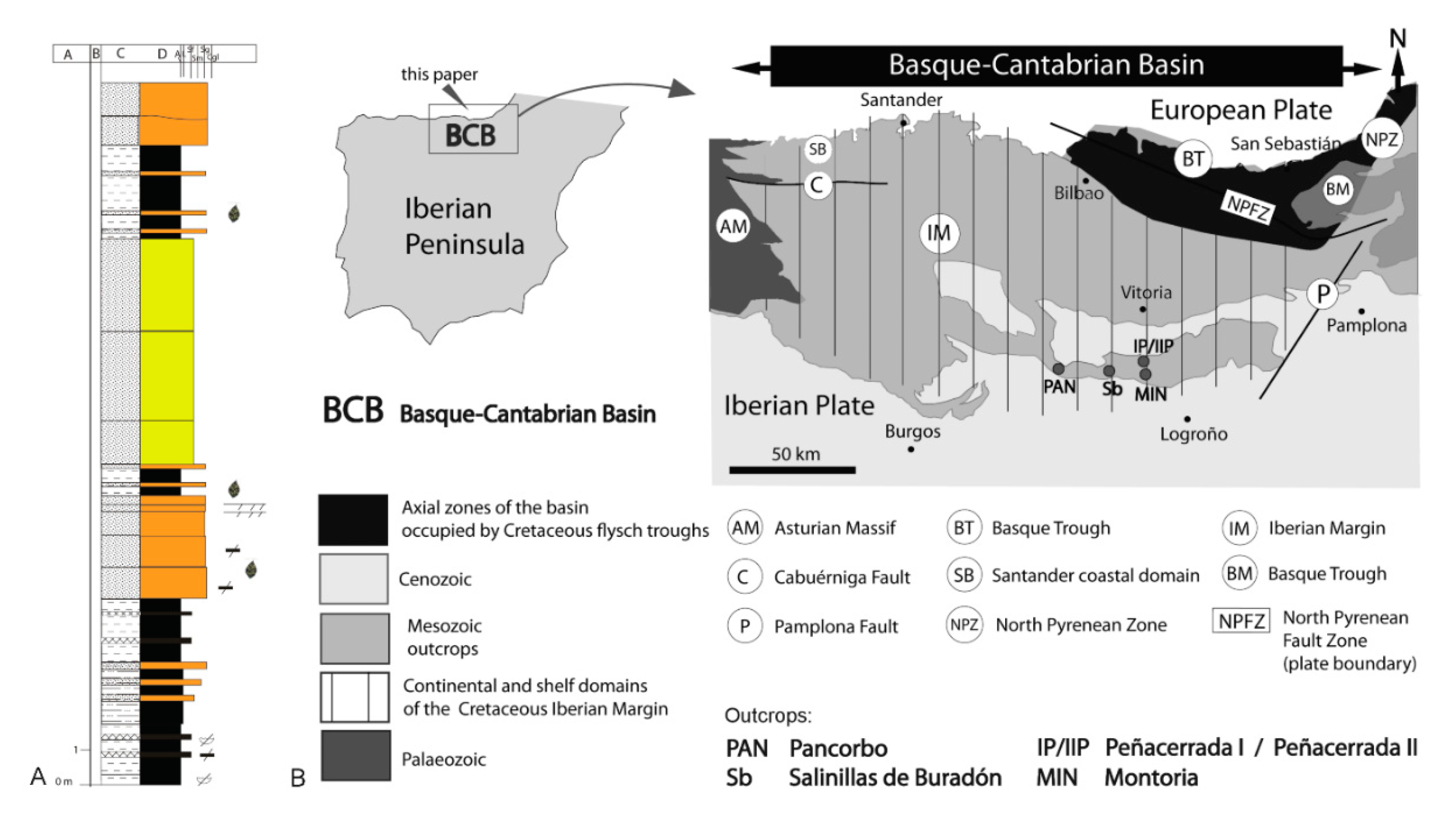 Insects 12 00411 g001