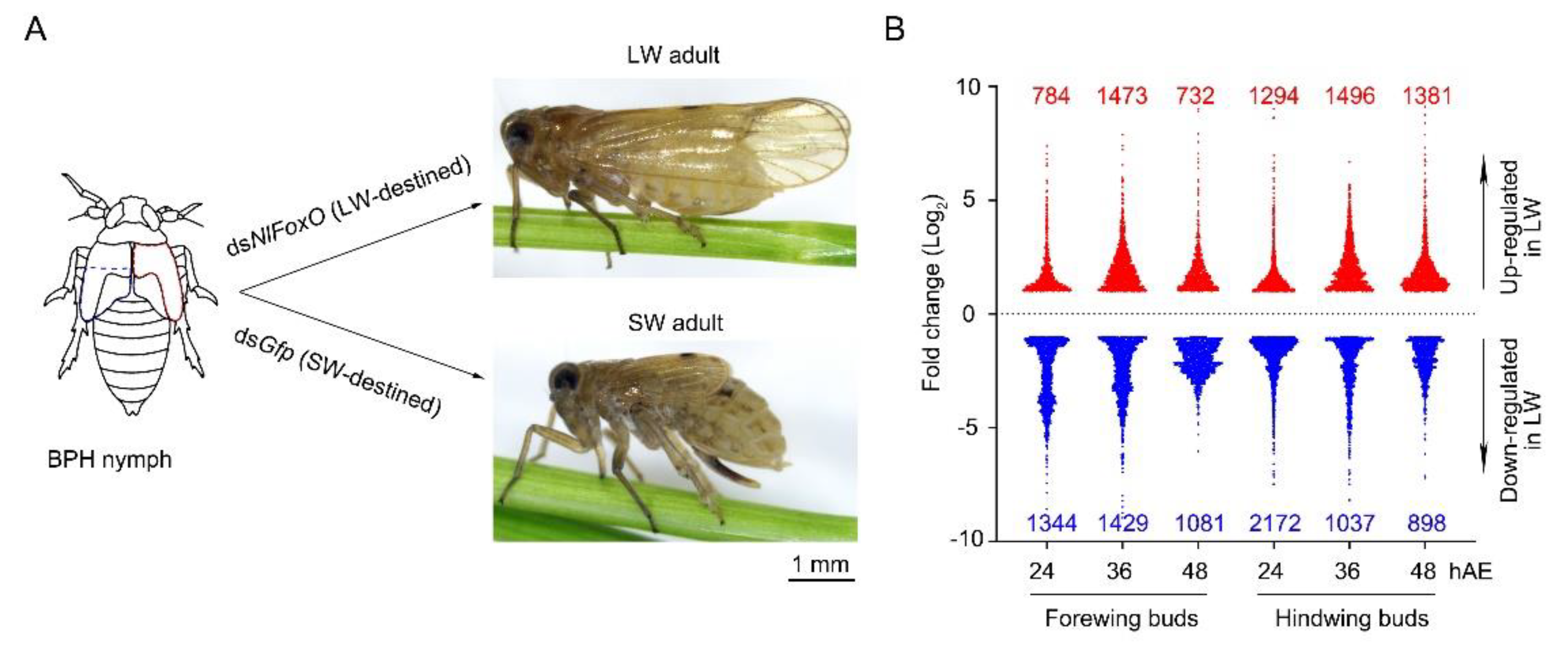 Insects 12 00413 g001 Insects 12 00413 g001