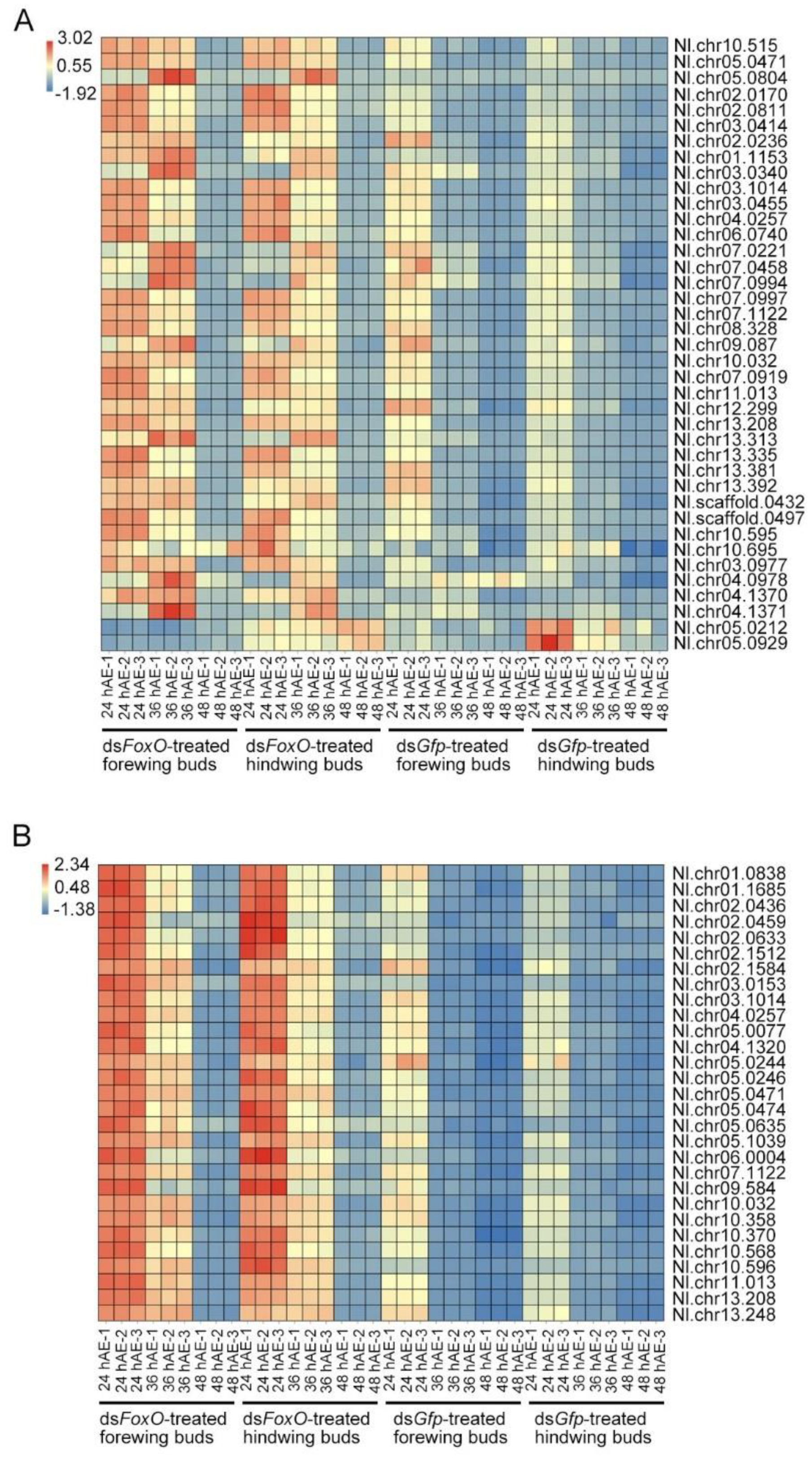 Insects 12 00413 g011 Insects 12 00413 g011