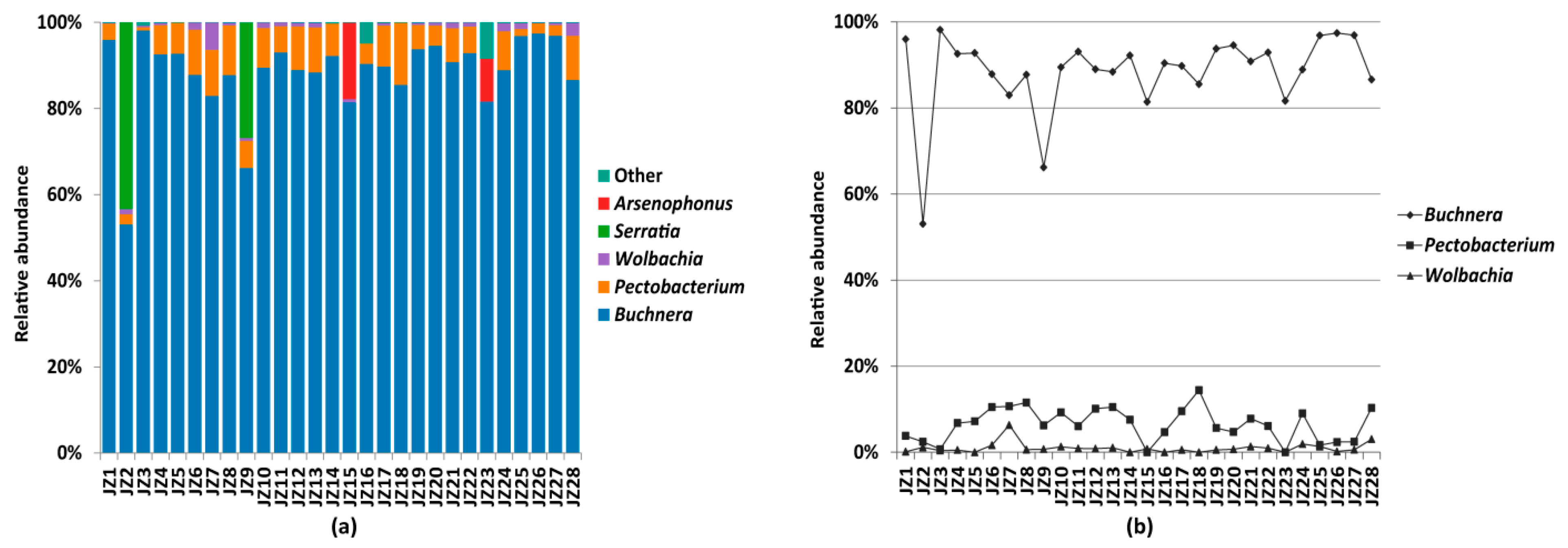 Insects 12 00416 g001