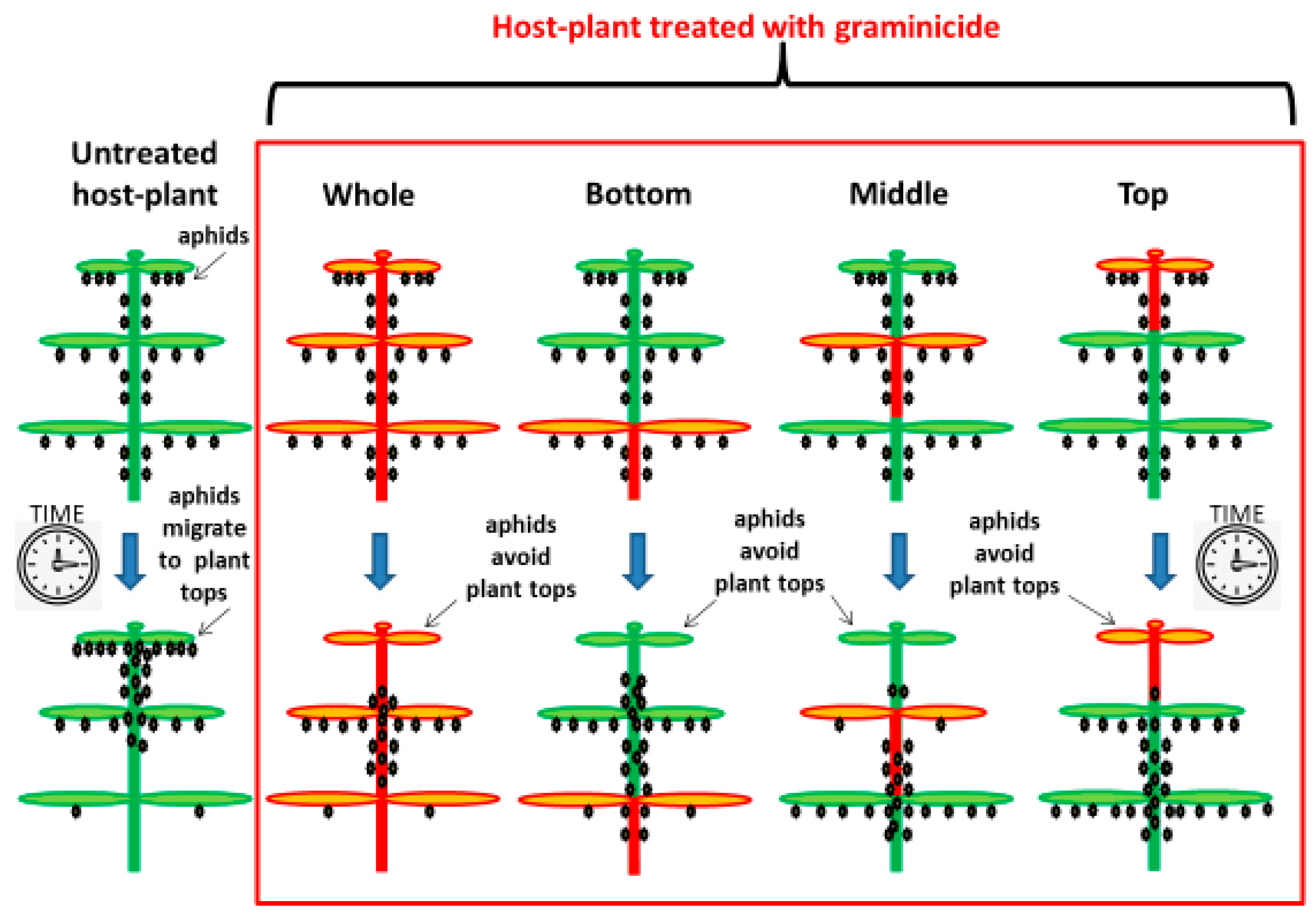 Insects 12 00420 g004 Insects 12 00420 g004