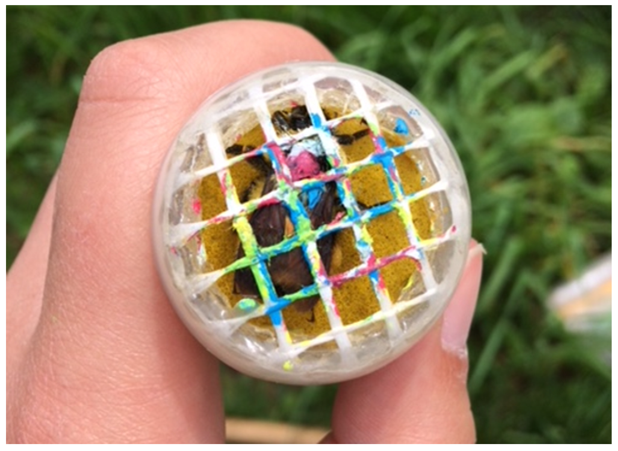 Insects 12 00421 g002 Insects 12 00421 g002