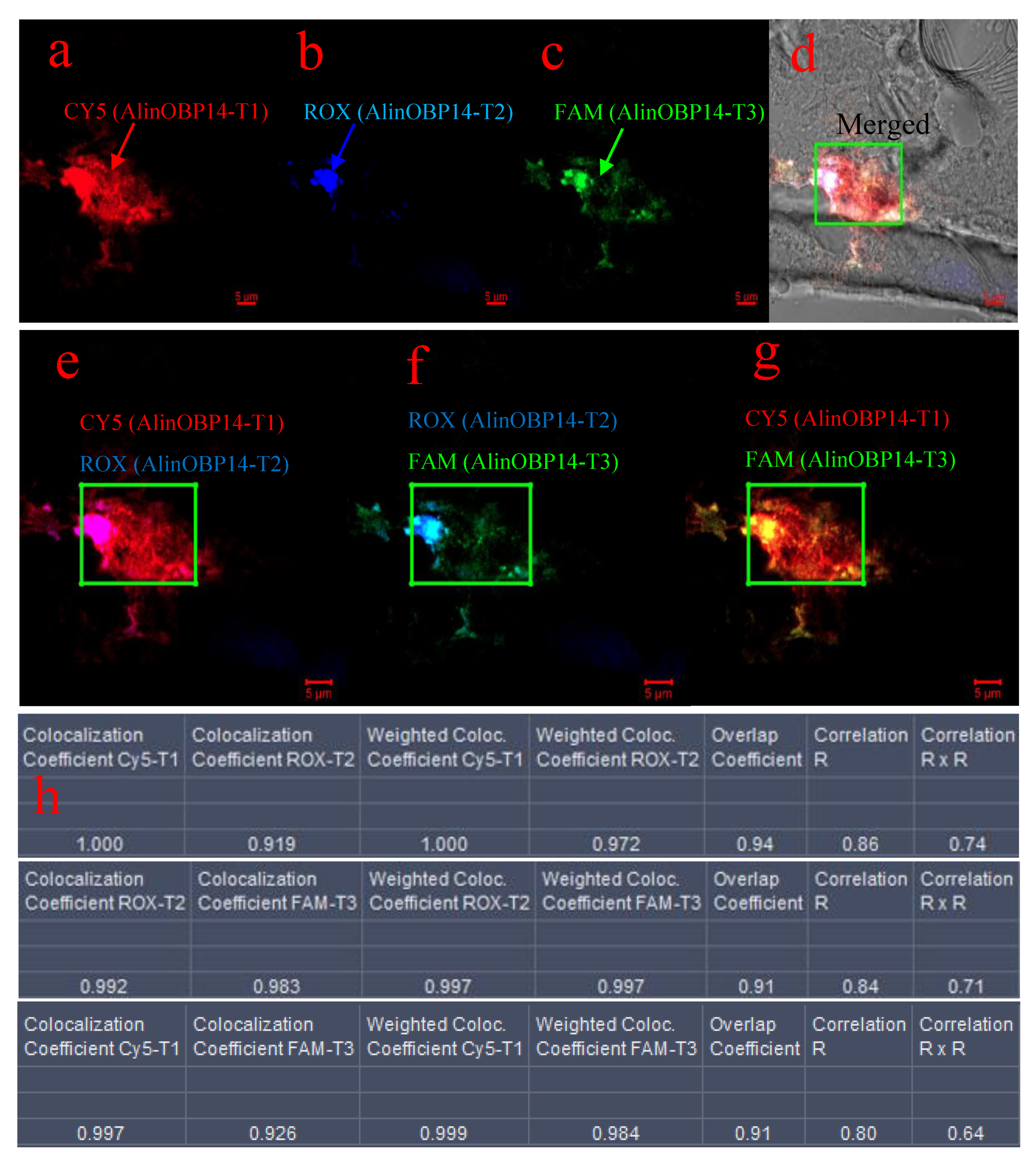 Insects 12 00422 g004 Insects 12 00422 g004